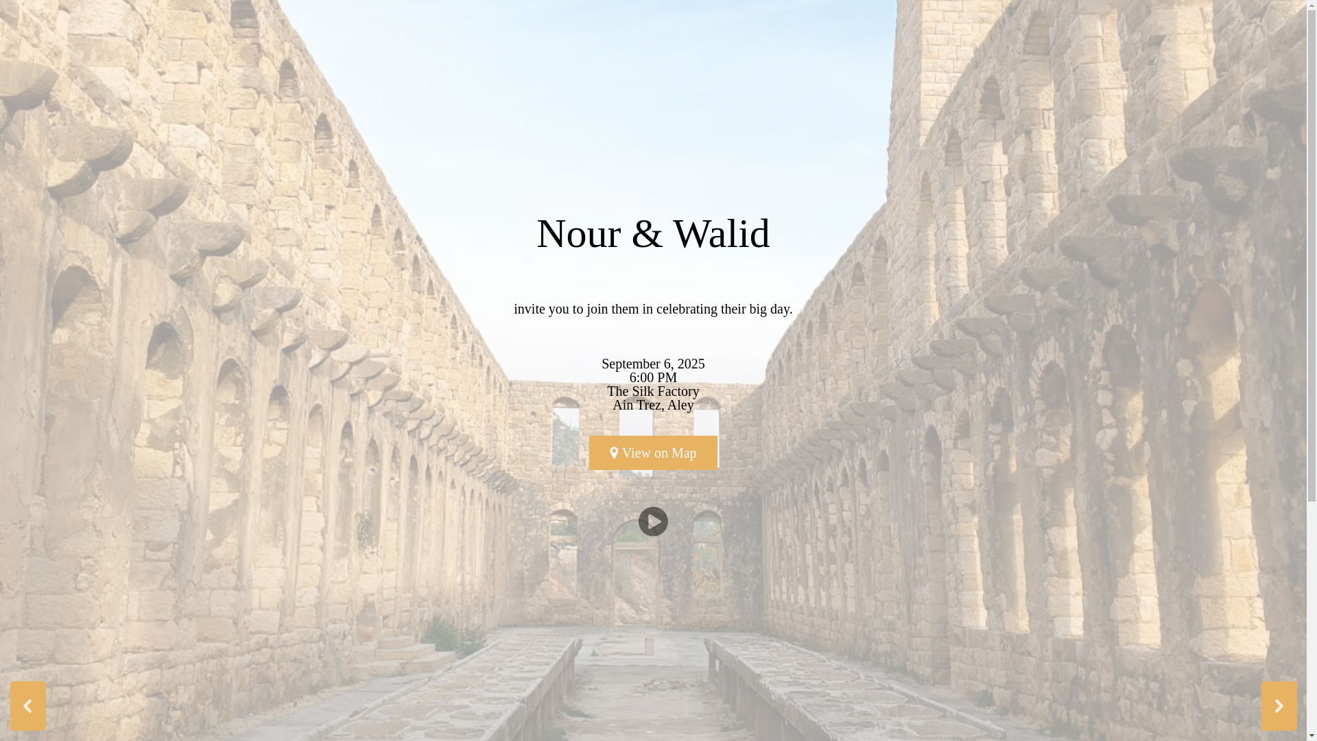 website screenshot of https://nourandwalid.com/