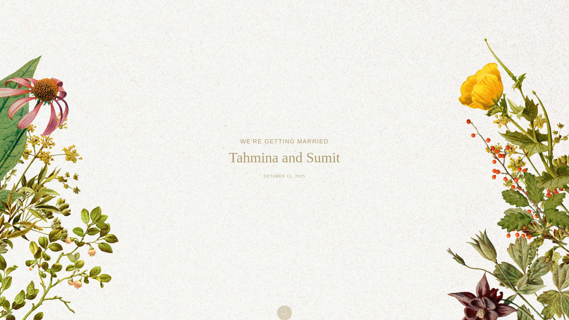 website screenshot of https://tahminaandsumit.com/