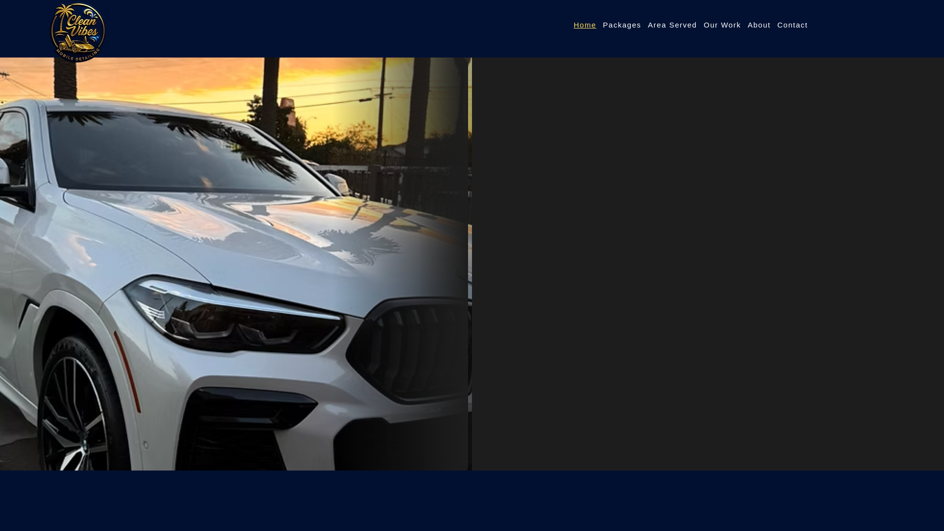 website screenshot of https://cleanvibesmobiledetailing.com