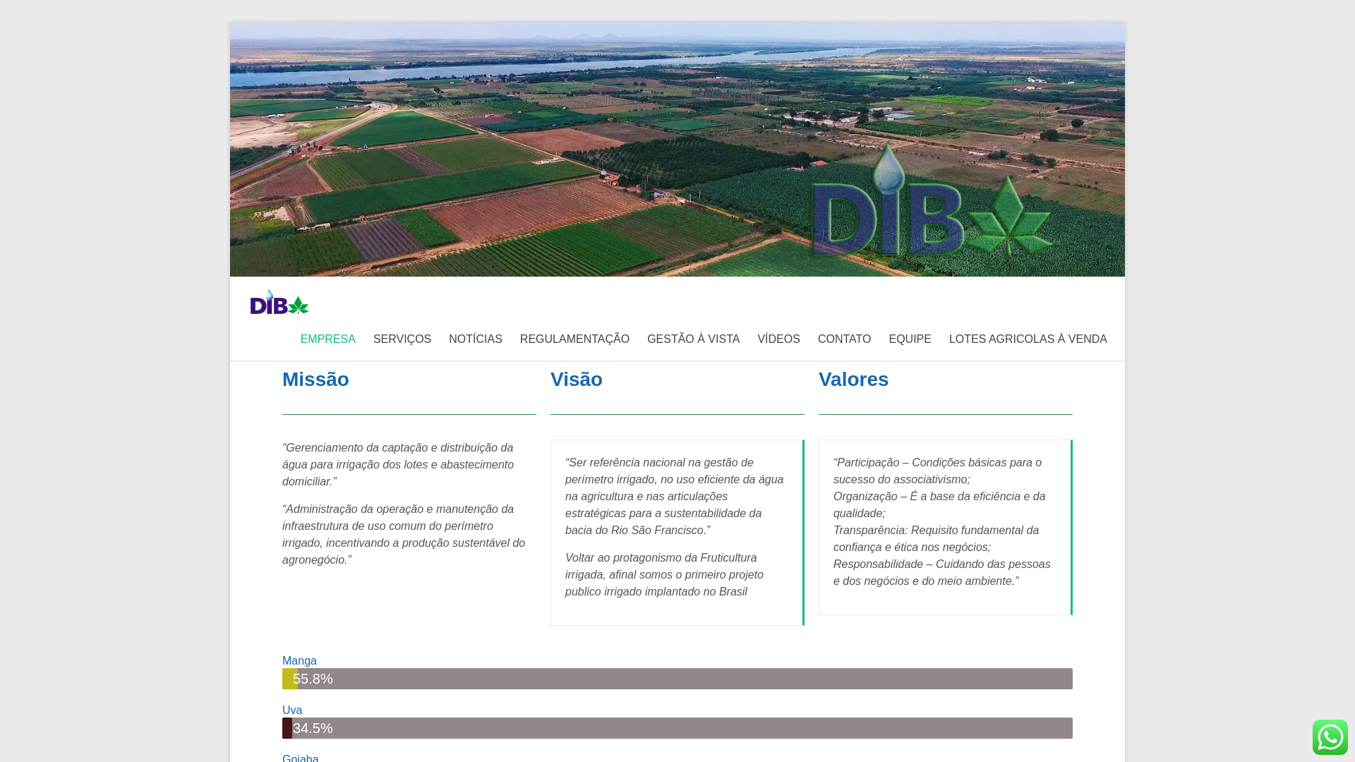 website screenshot of https://dibebedouro.org.br