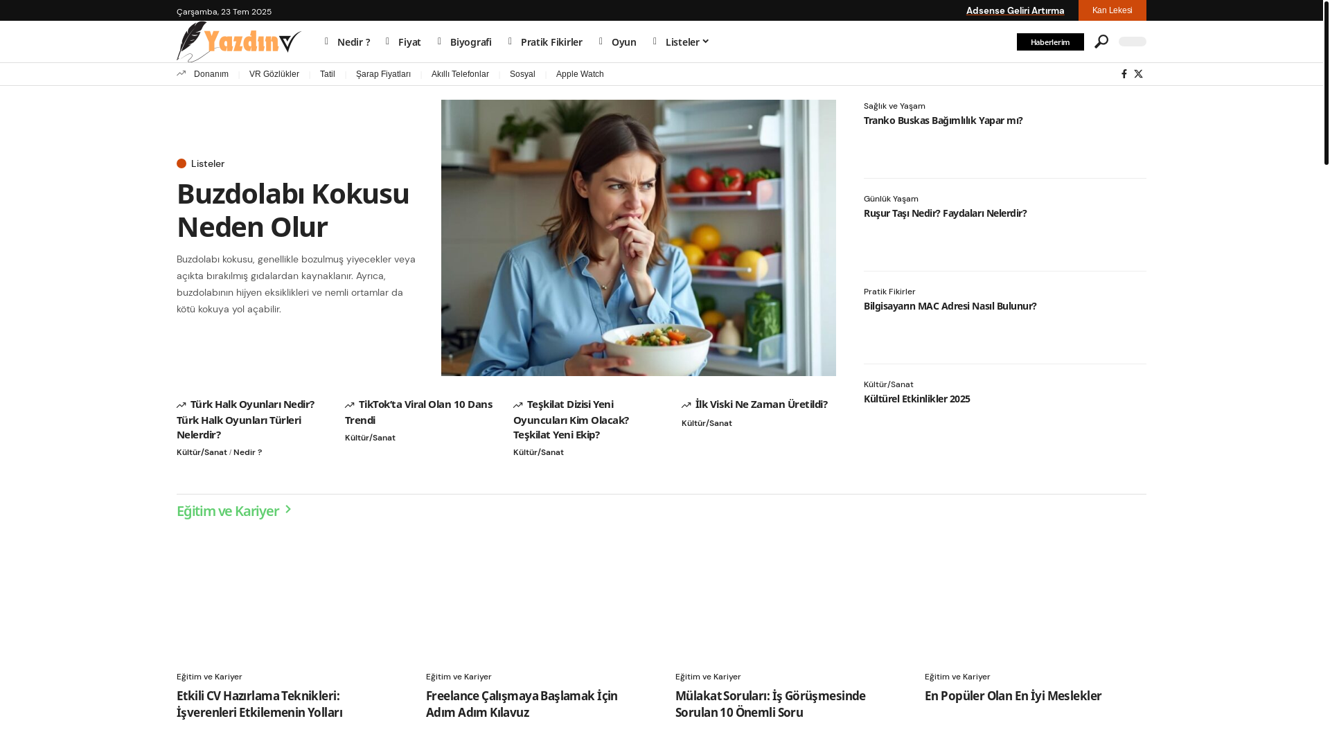 website screenshot of https://yazdin.com