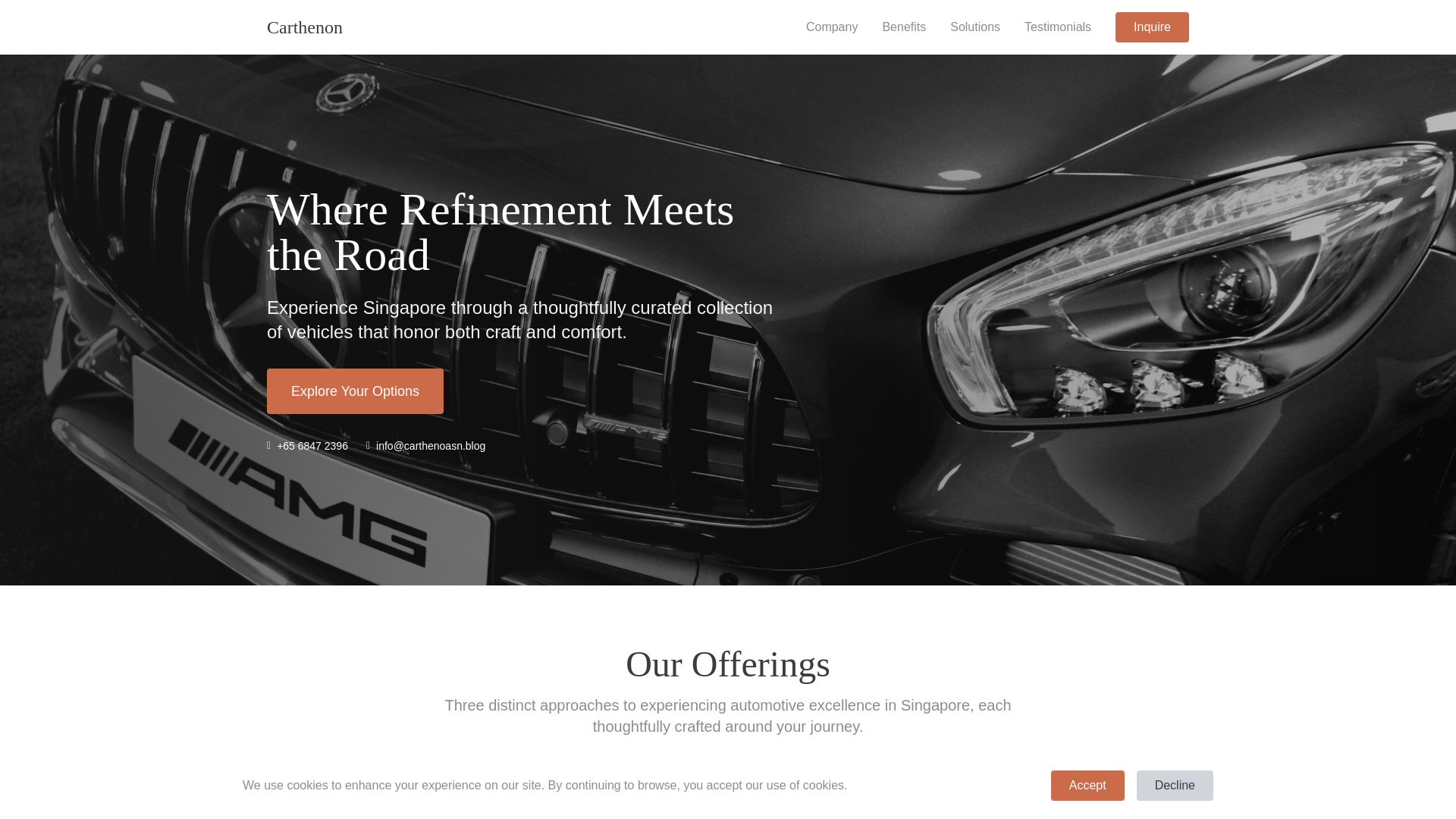website screenshot of https://carthenoasn.blog/
