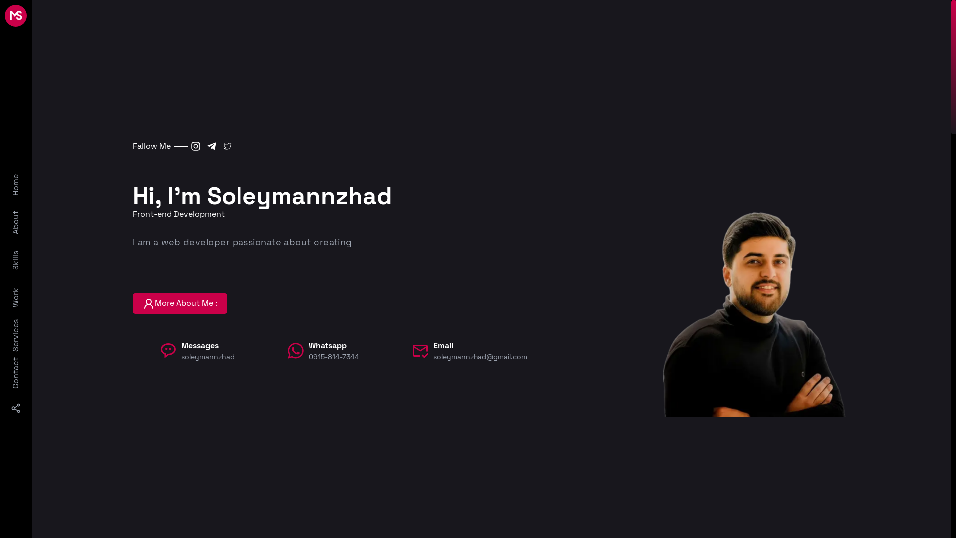 website screenshot of https://soleymannzhad.ir/