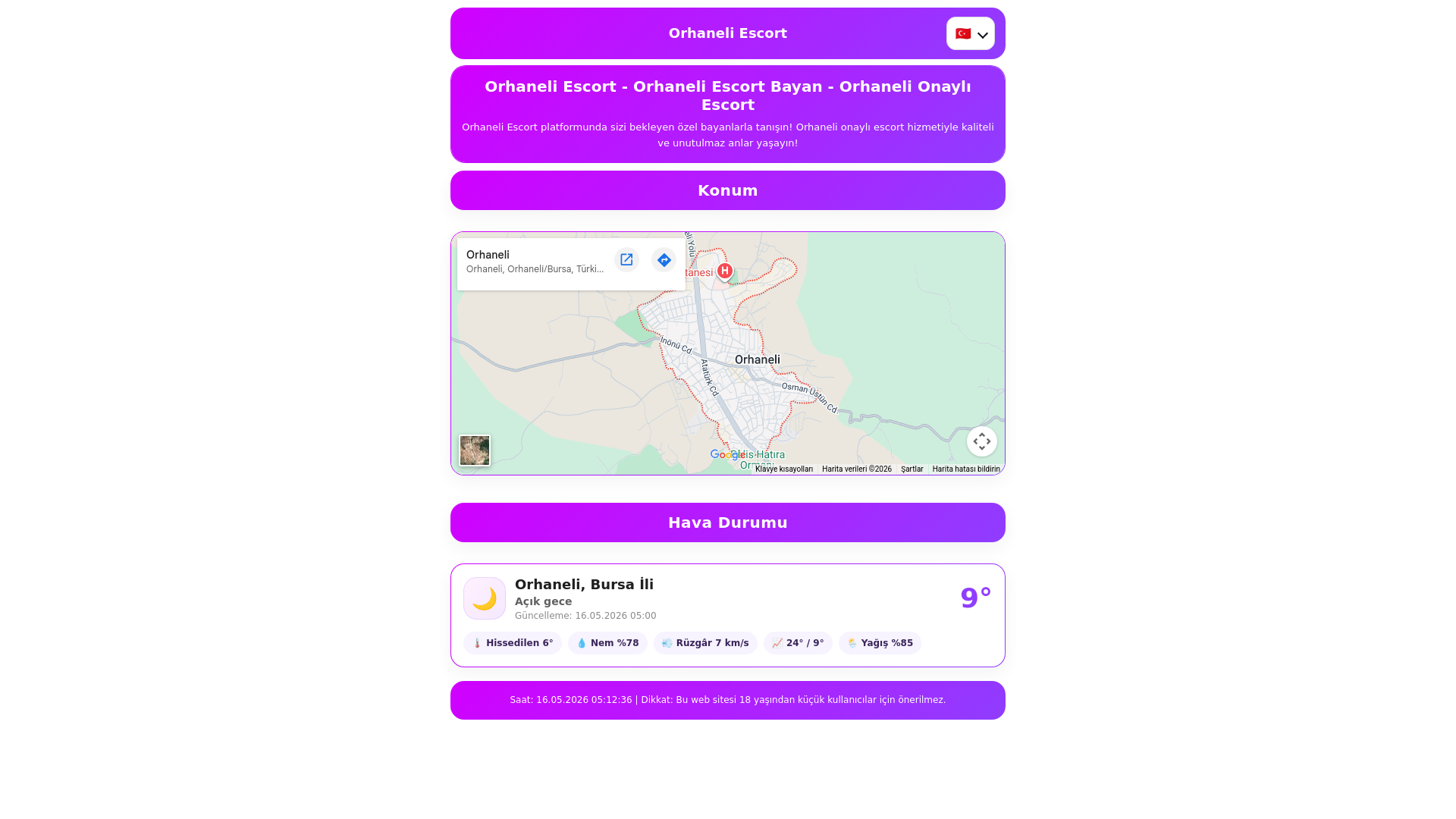 website screenshot of https://orhaneliescort.xyz/