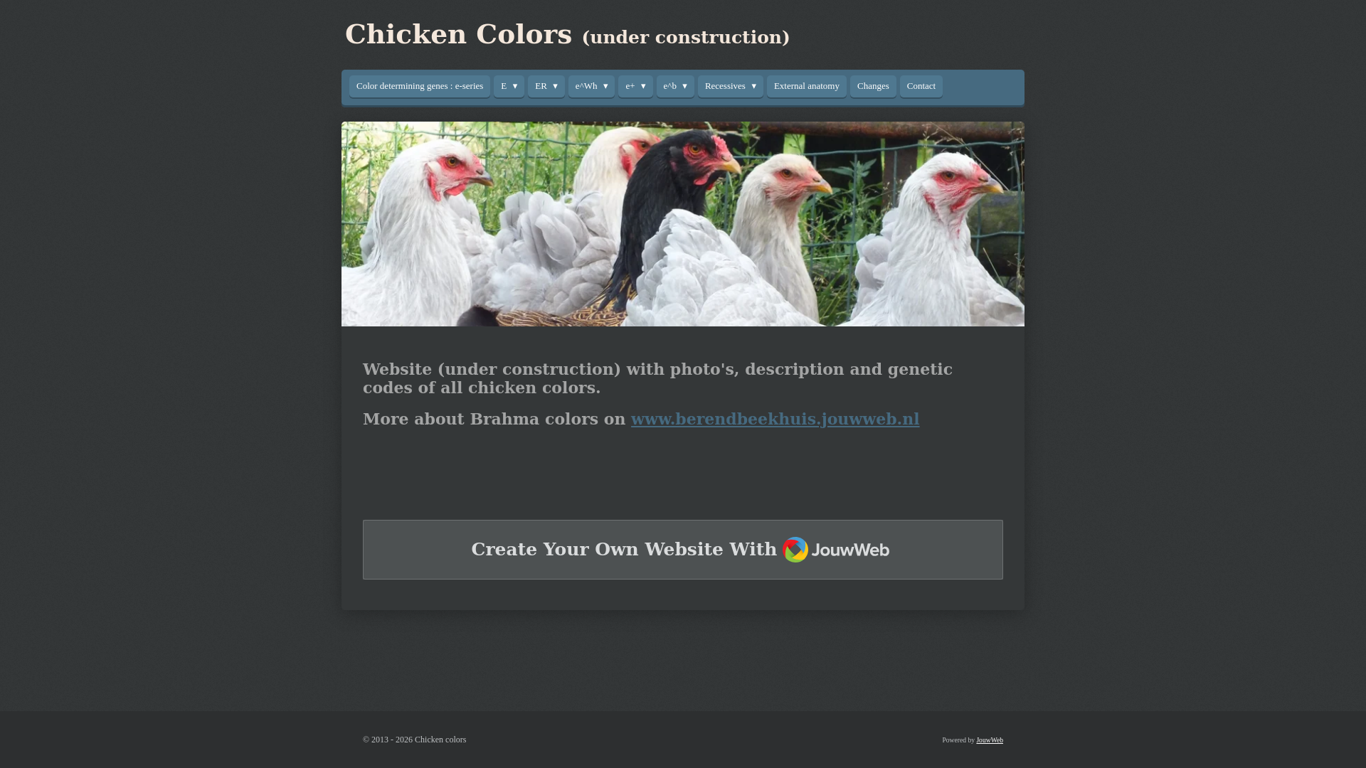 website screenshot of https://chicken-colors.info/