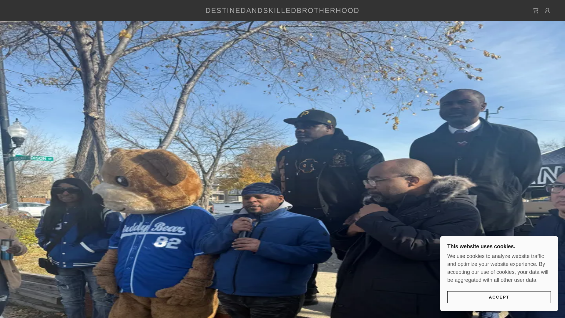 website screenshot of https://destinedandskilledbrotherhood.com/