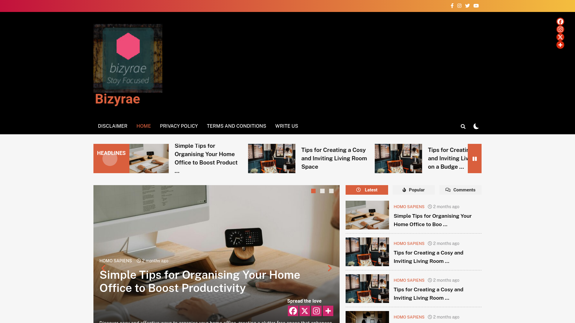 website screenshot of https://bizyrae.com