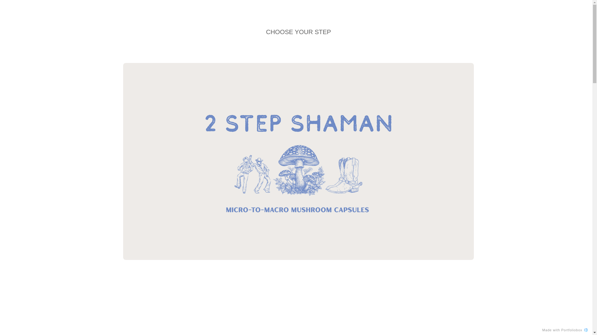 website screenshot of https://2stepshaman.com/