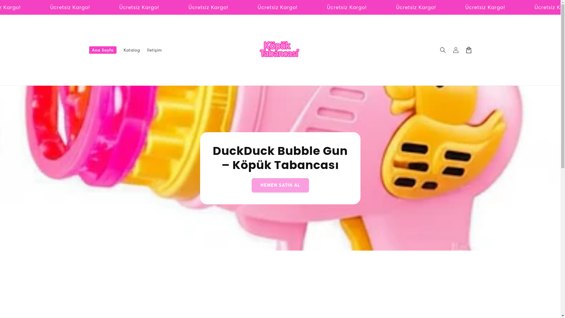 website screenshot of https://kopuktabancasi.com/