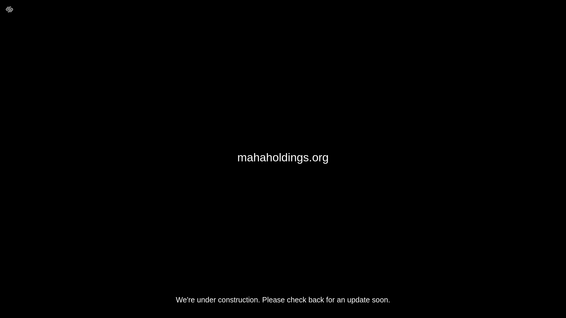 website screenshot of https://mahaholdings.org/