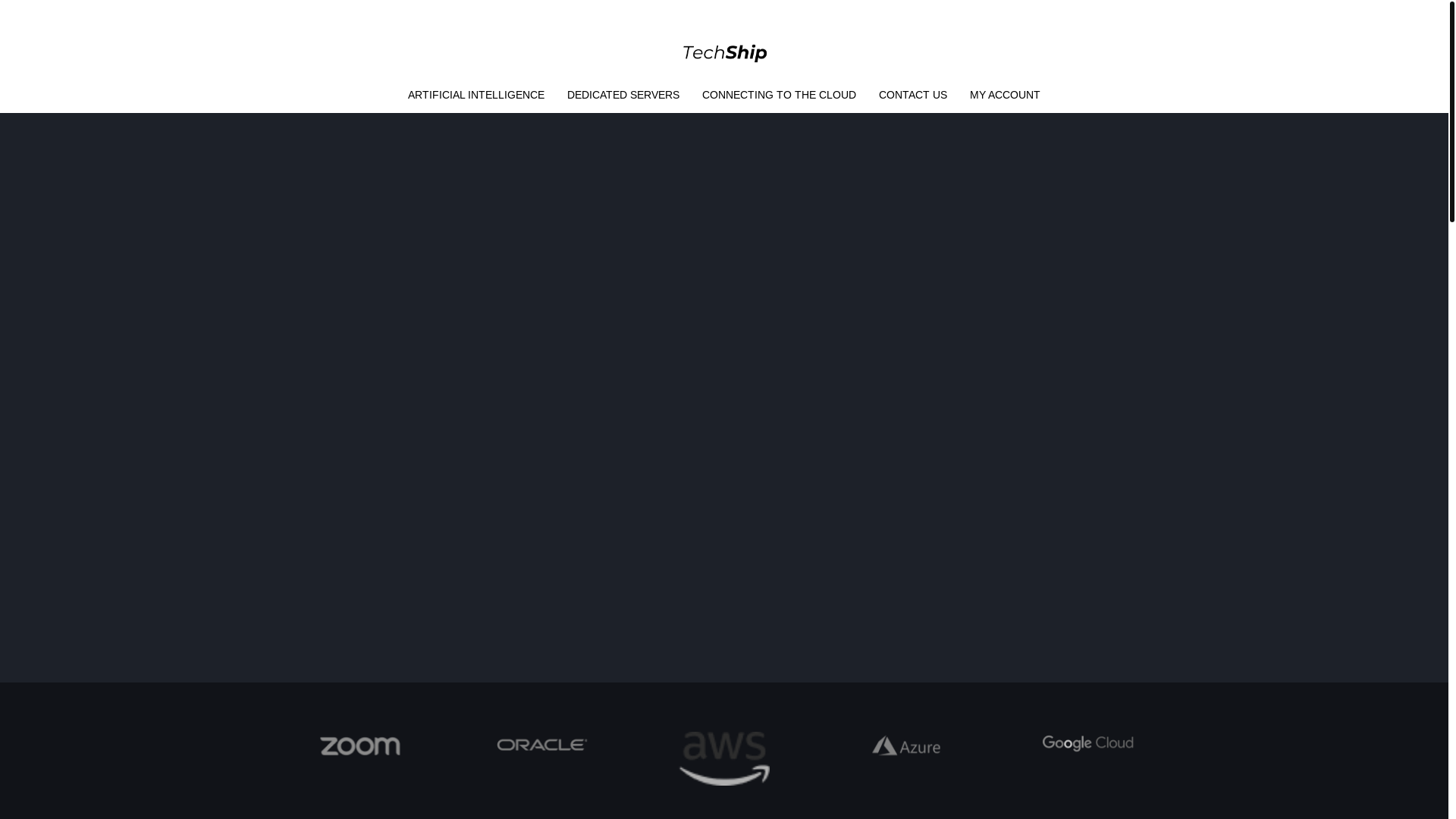 website screenshot of https://technologyship.international/