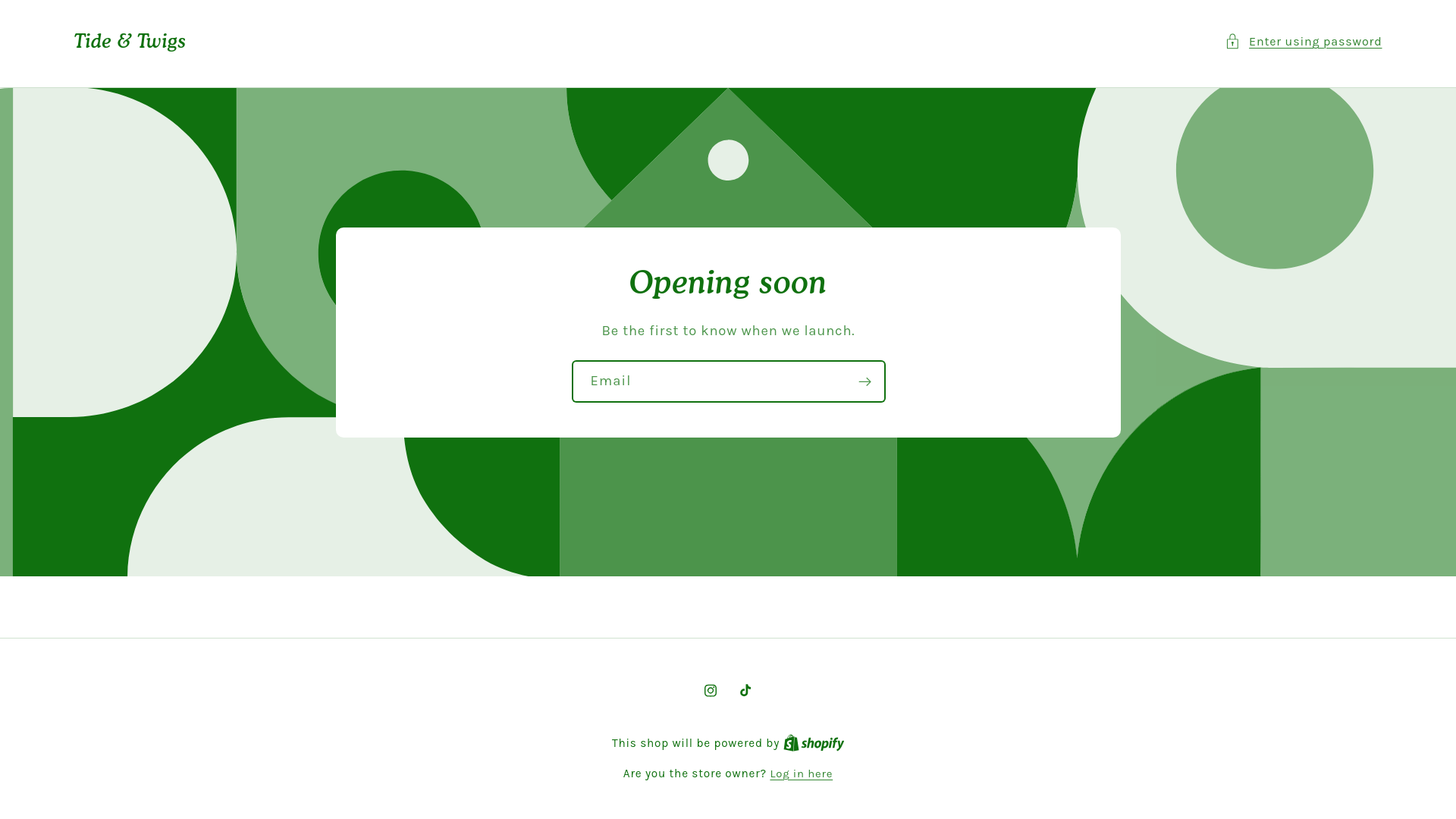 website screenshot of https://tideandtwigs.com/