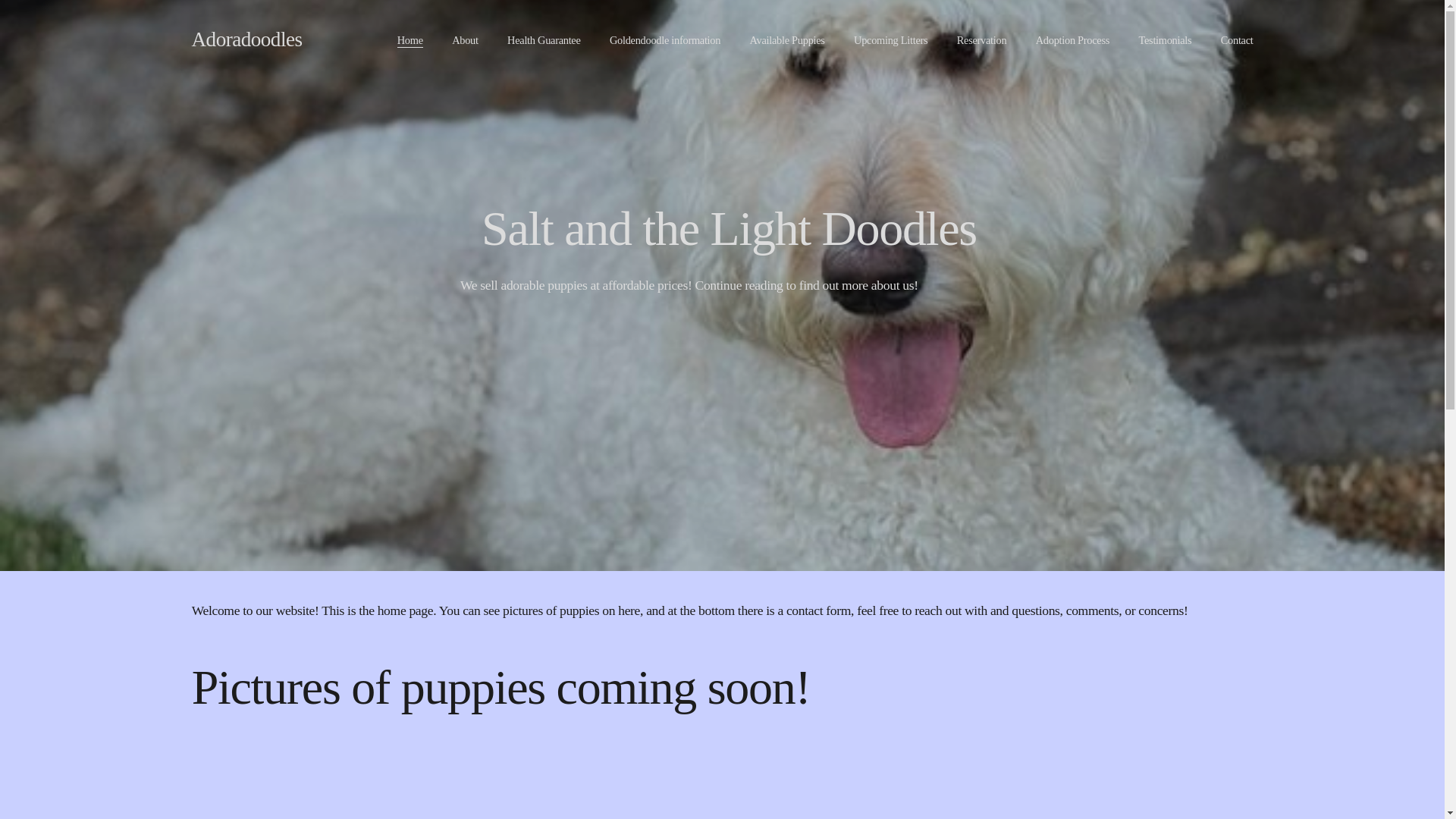 website screenshot of https://saltandlightdoodles.com/