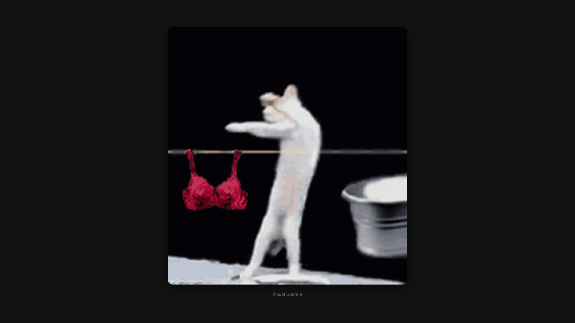 website screenshot of https://dutacilok.pages.dev/