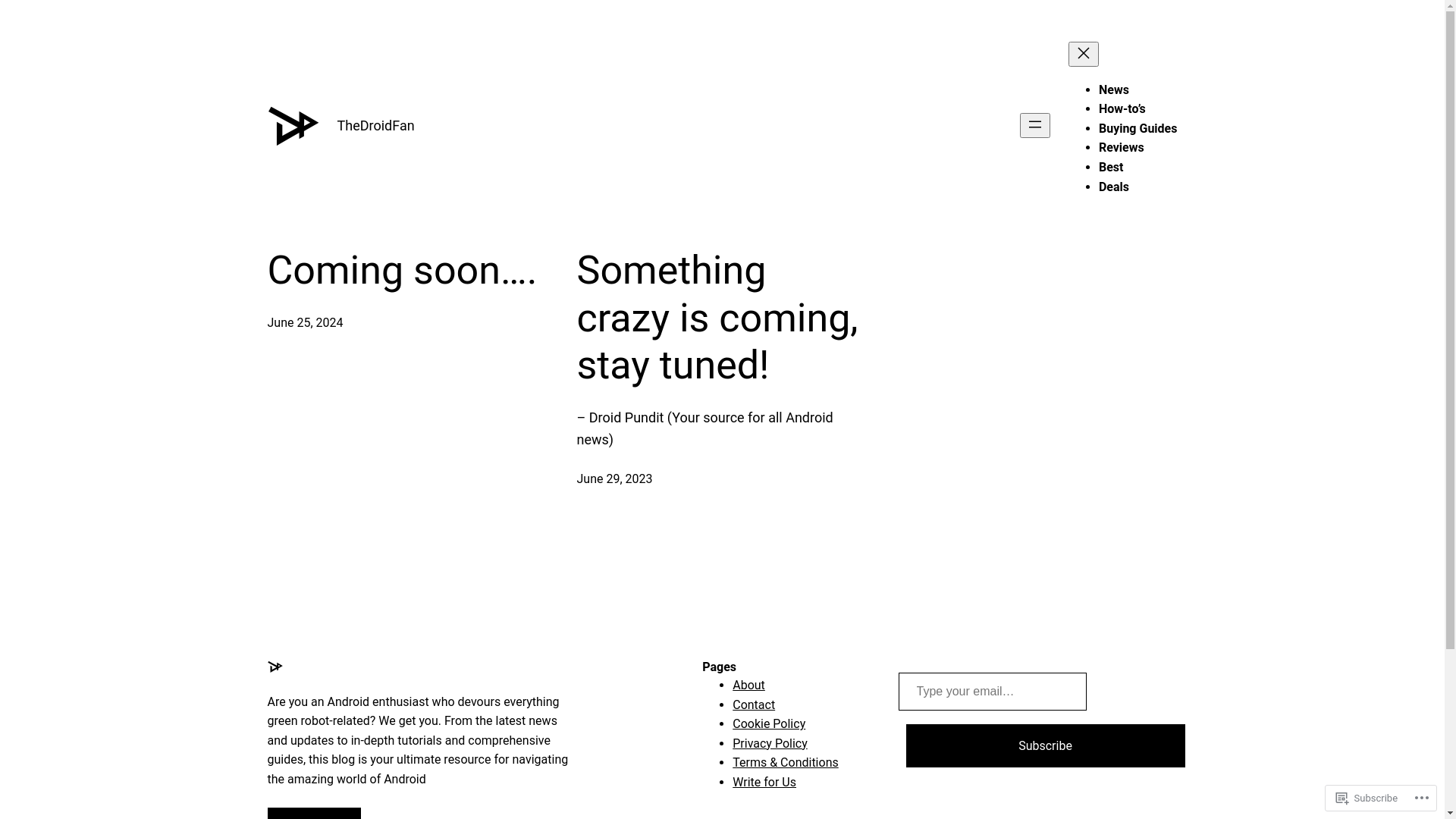 website screenshot of https://thedroidfan.com/