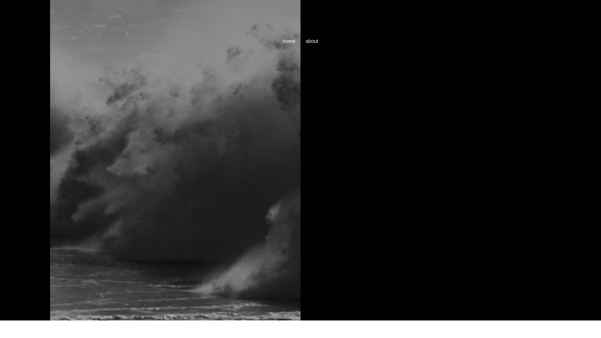 website screenshot of https://ricardodiasinfante.com/