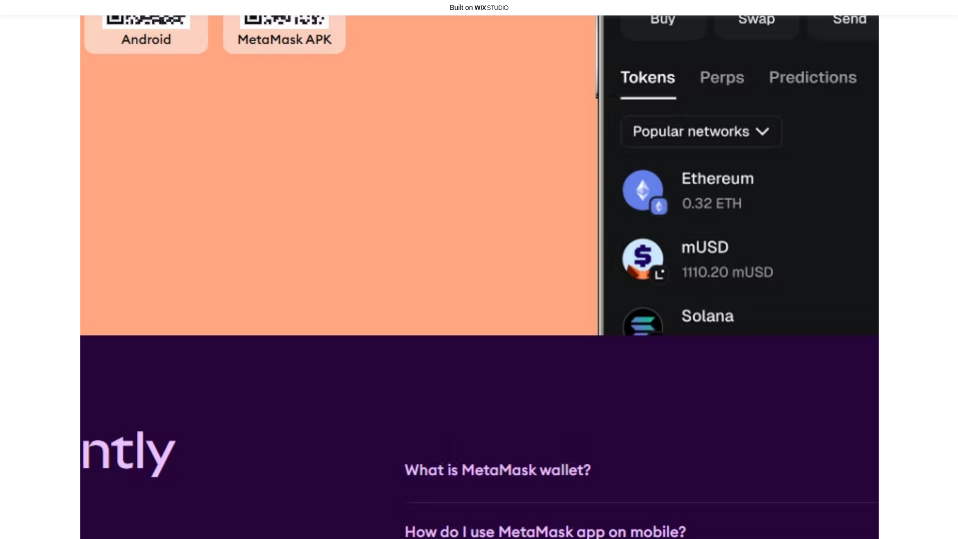 website screenshot of https://metamuskio-extn.wixstudio.com/en-us