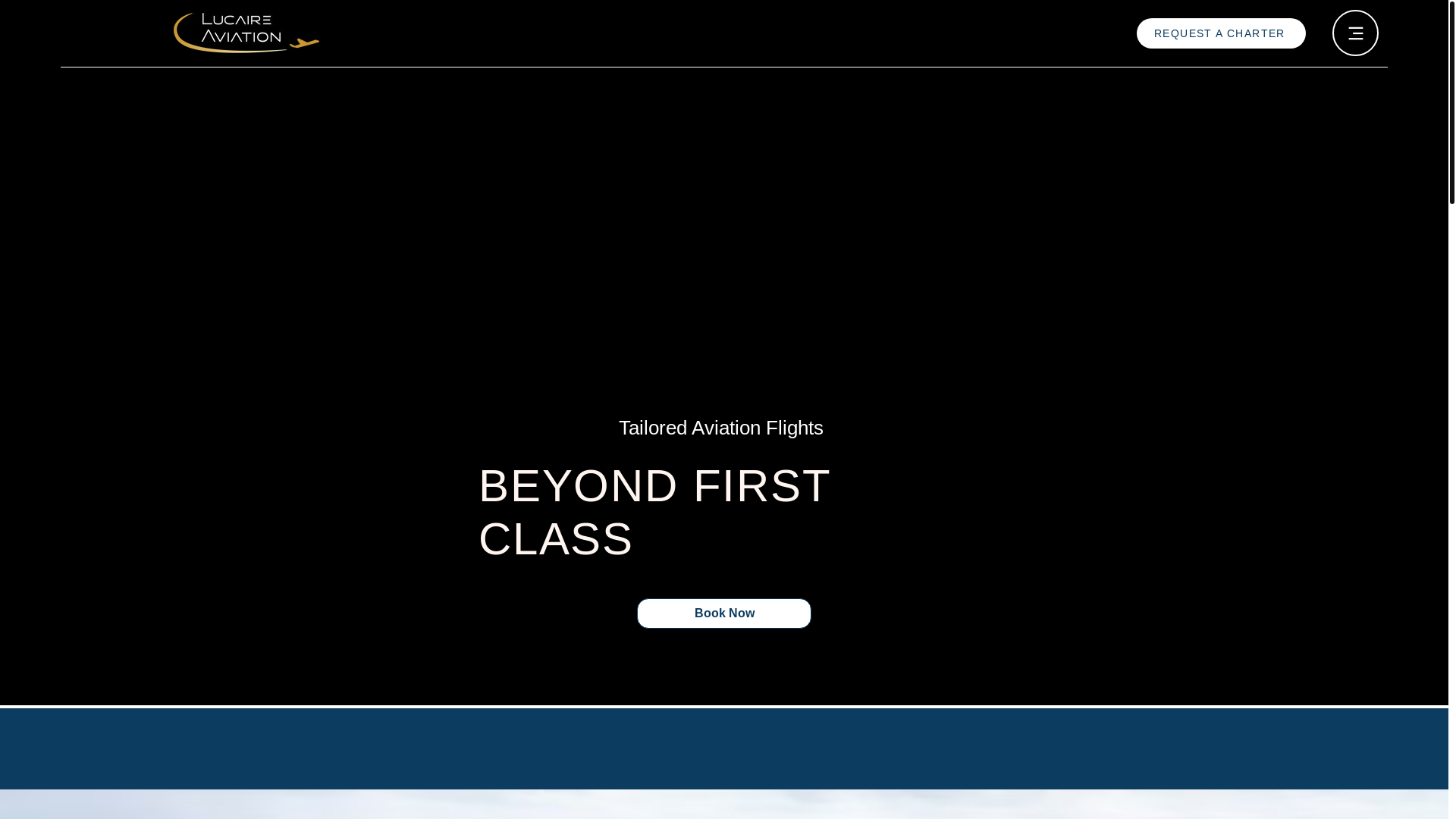 website screenshot of https://lucaireaviation.com/