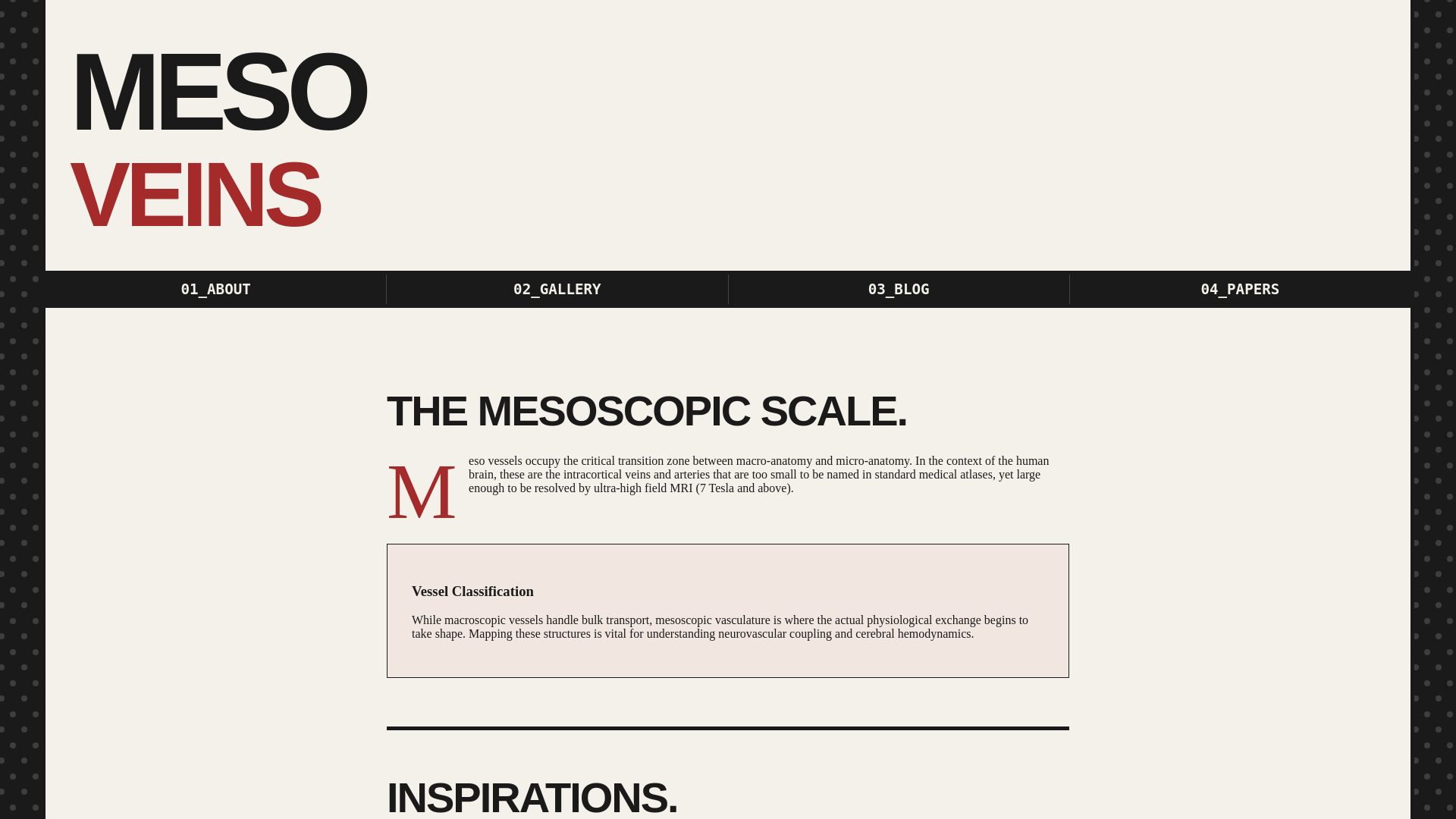 website screenshot of https://mesoveins.pages.dev/