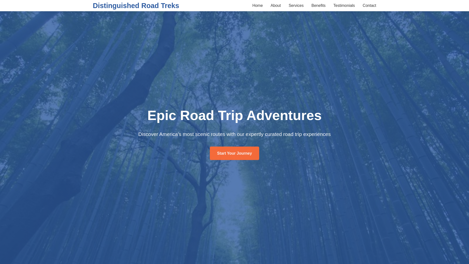 website screenshot of https://distinguishedroadtreks.qpon/