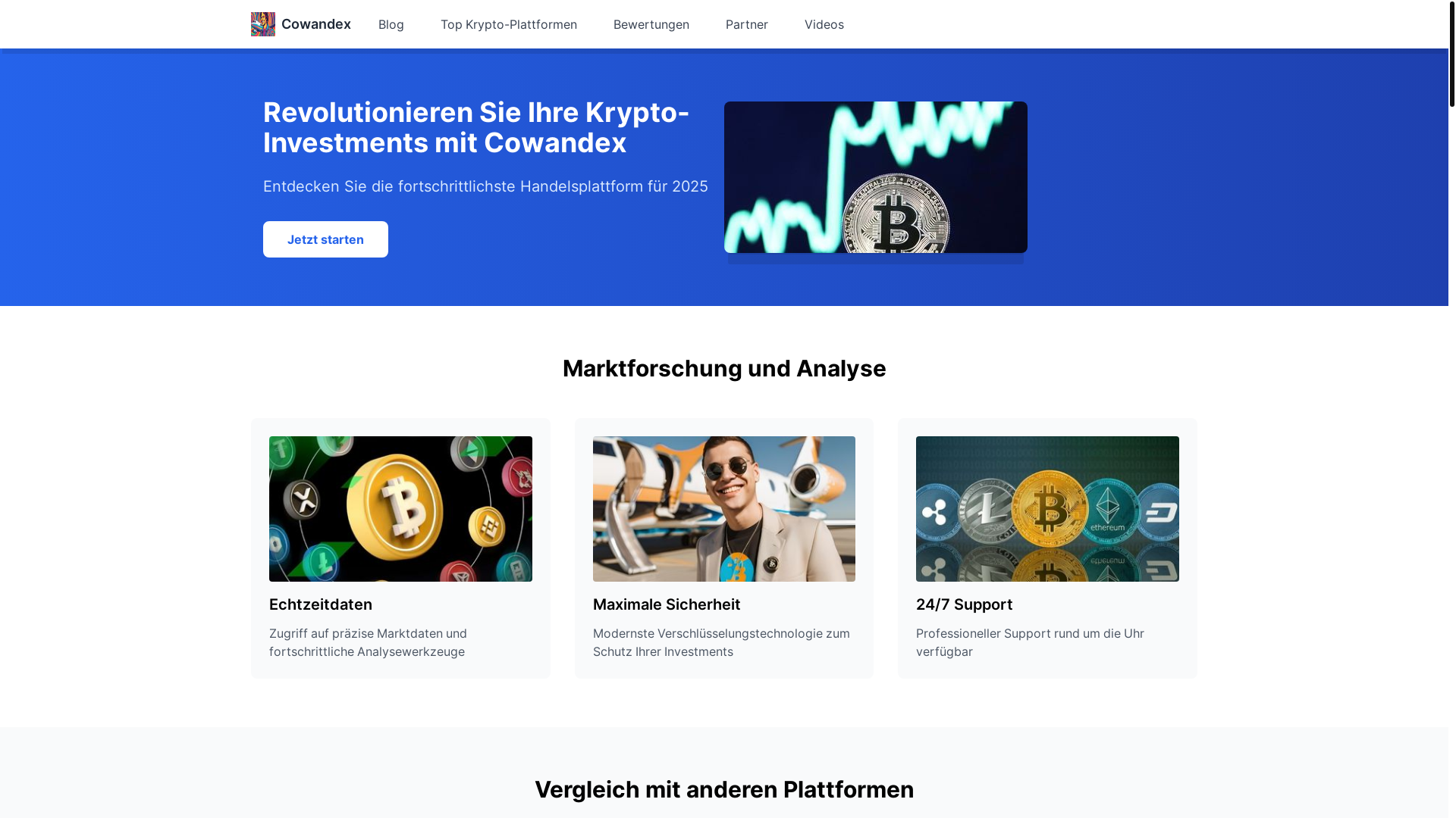 website screenshot of https://cowandex-app.wiki/