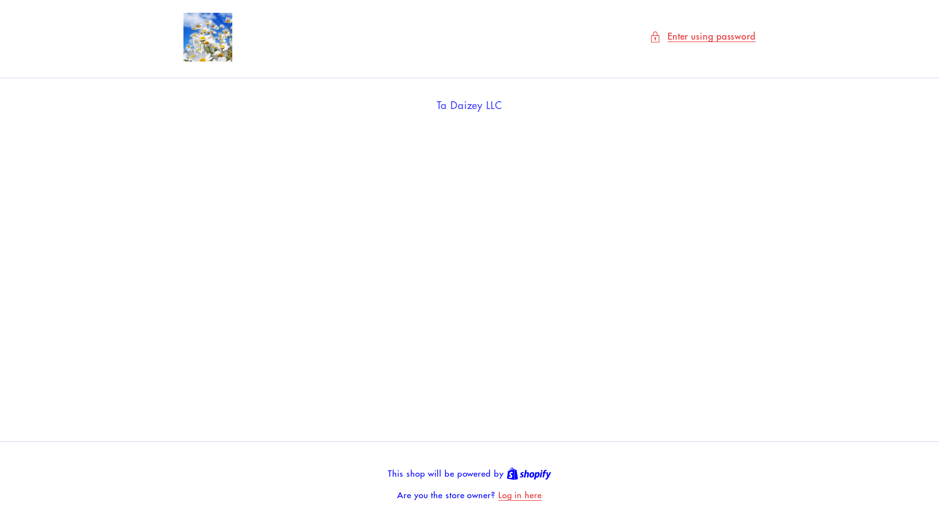 website screenshot of https://tadaizeyllc.com/
