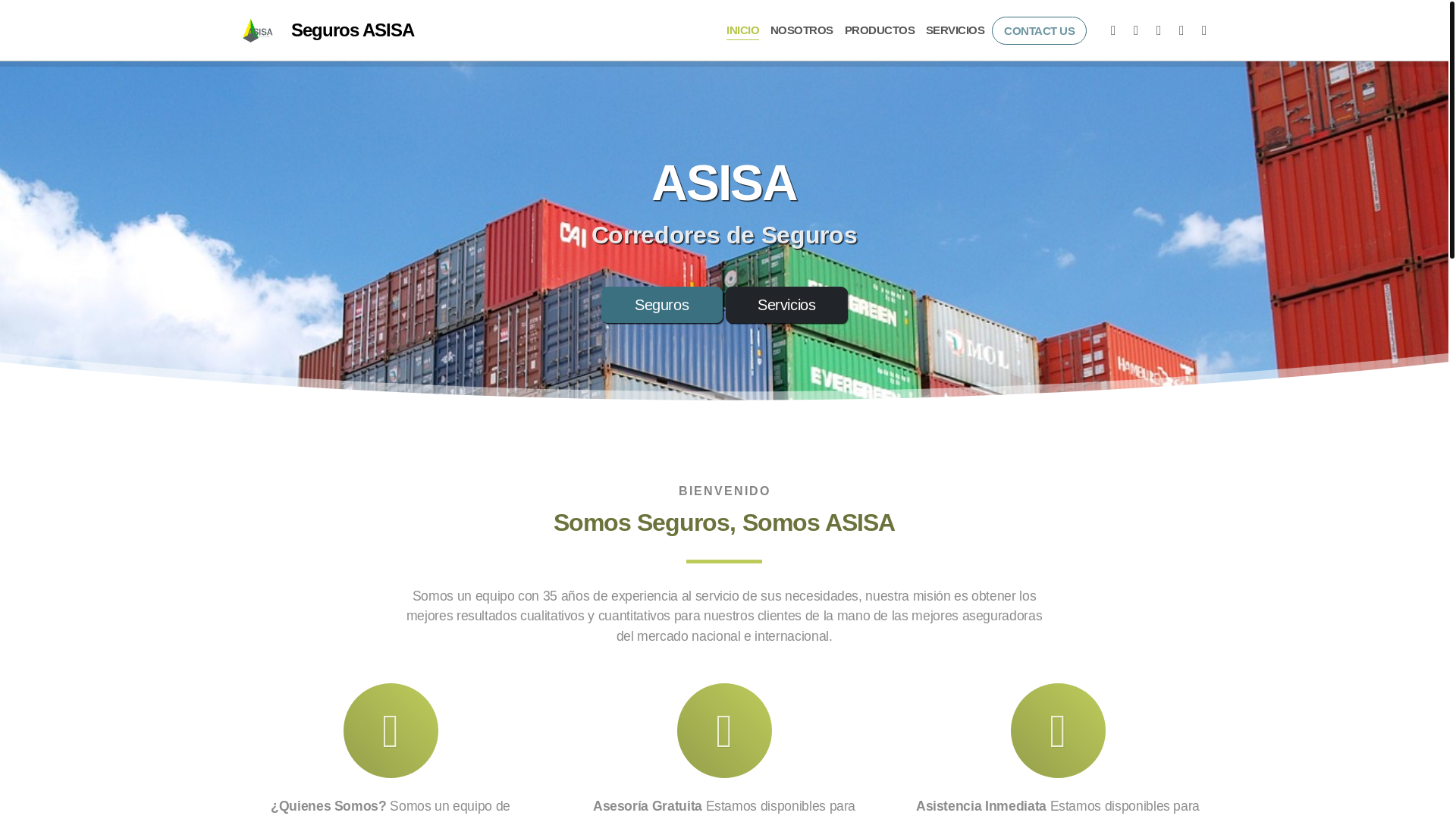 website screenshot of https://segurosasisa.com/