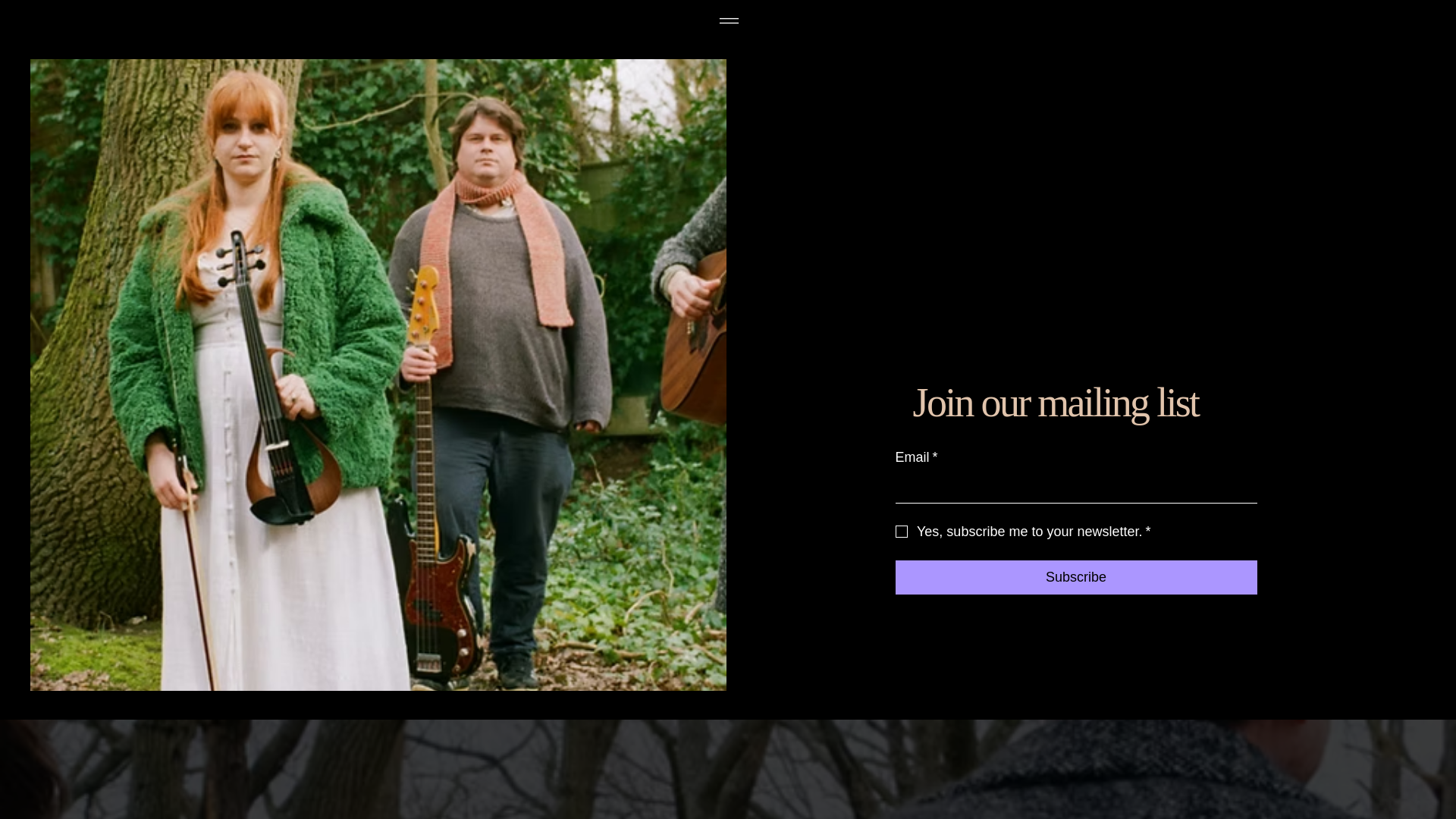 website screenshot of https://spacecatvincent.com/