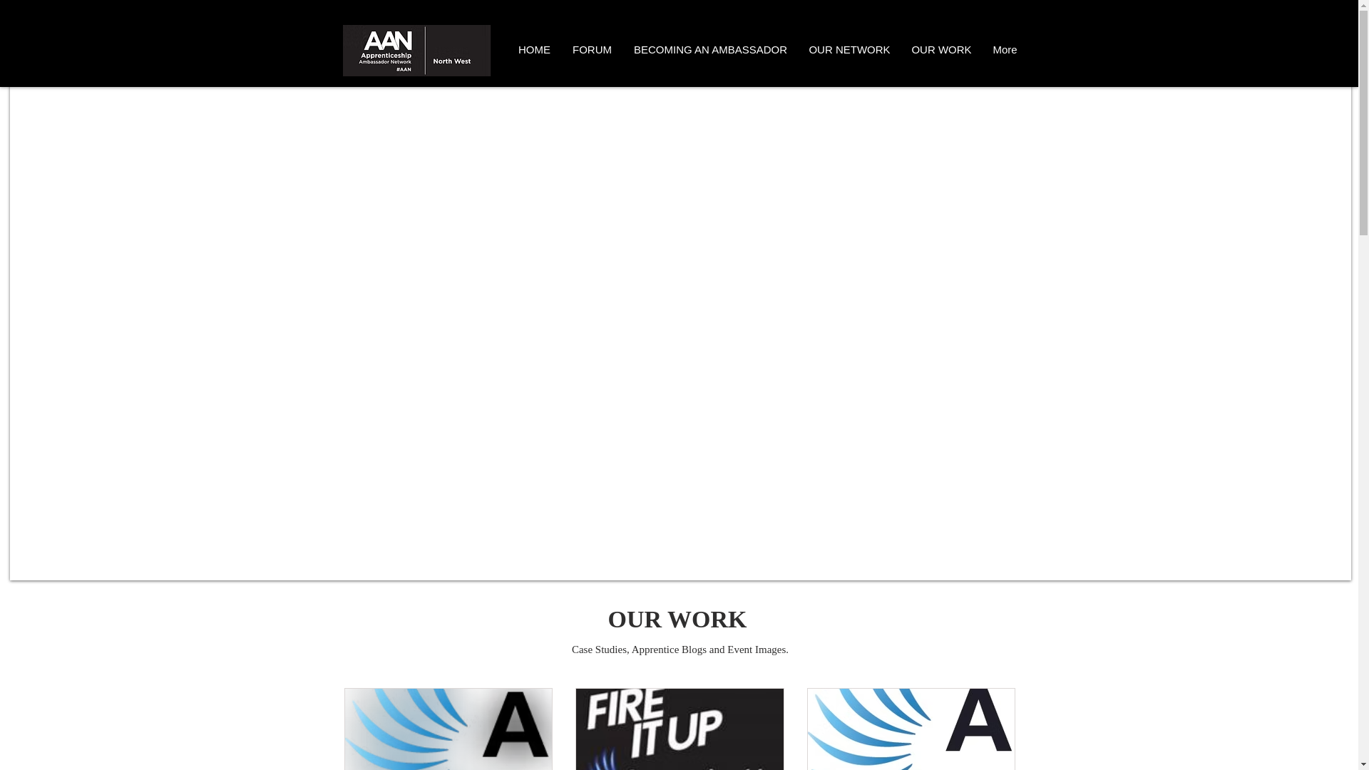 website screenshot of https://northwestaanportal.com/