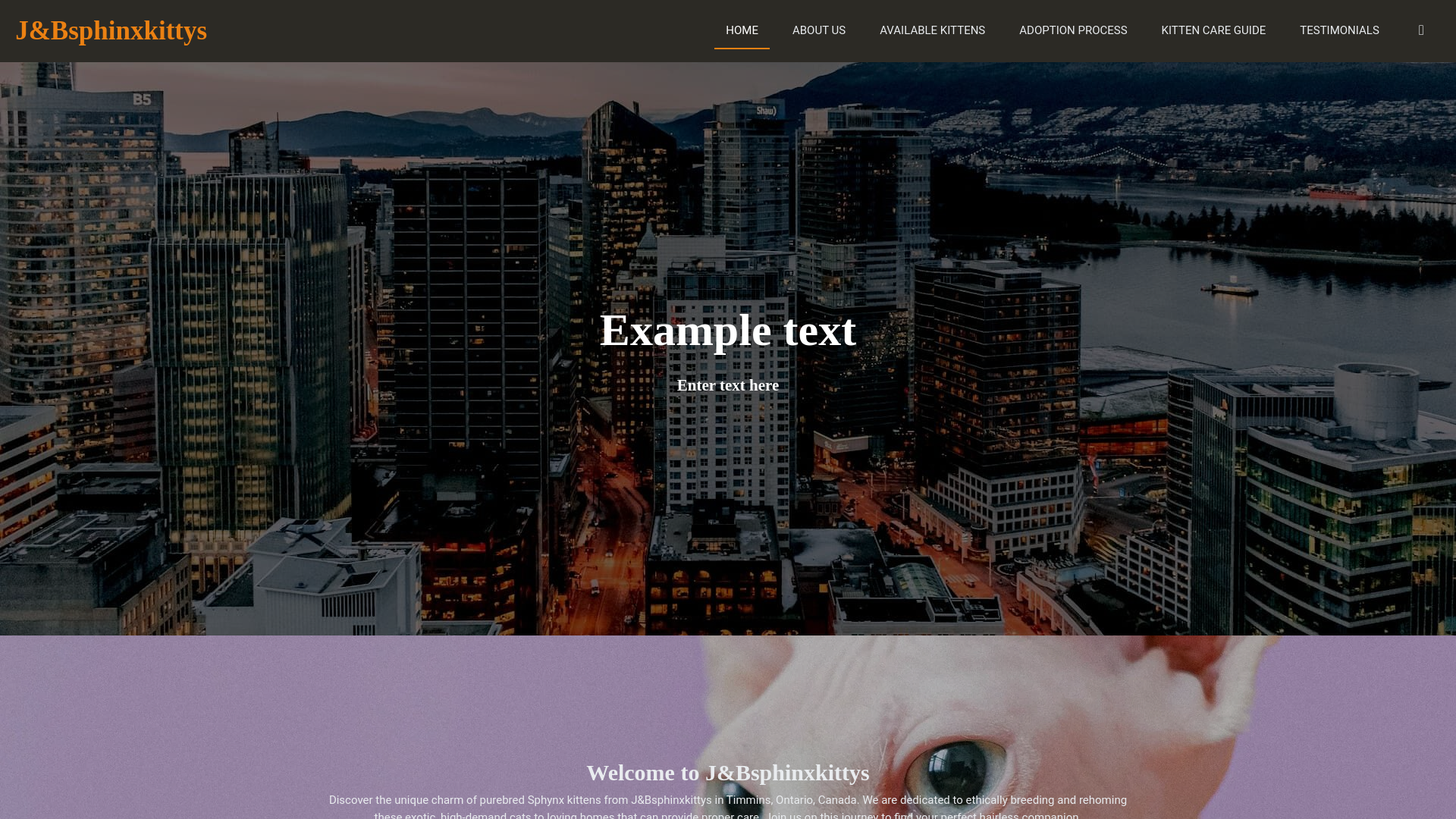 website screenshot of https://j-bsphinxkittys.com