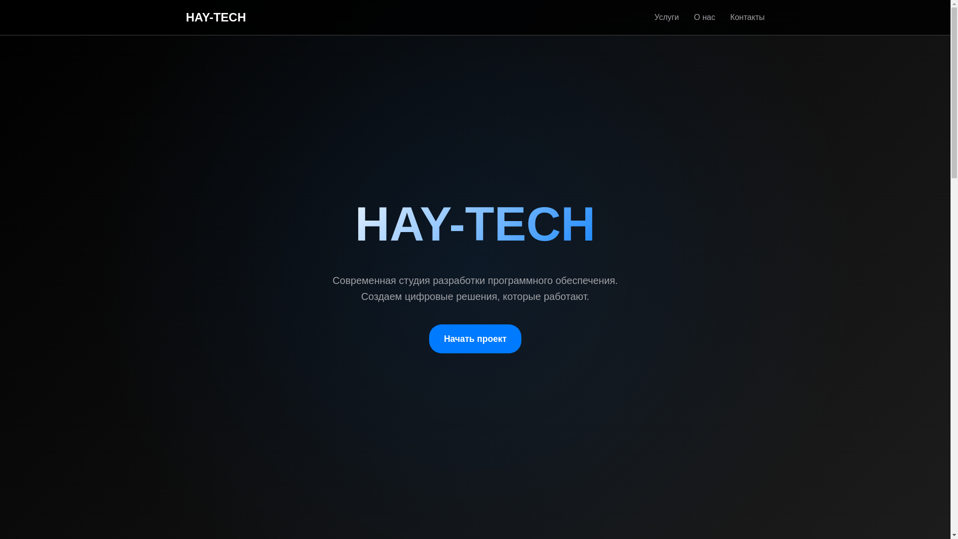 website screenshot of https://hay-tech.ru/