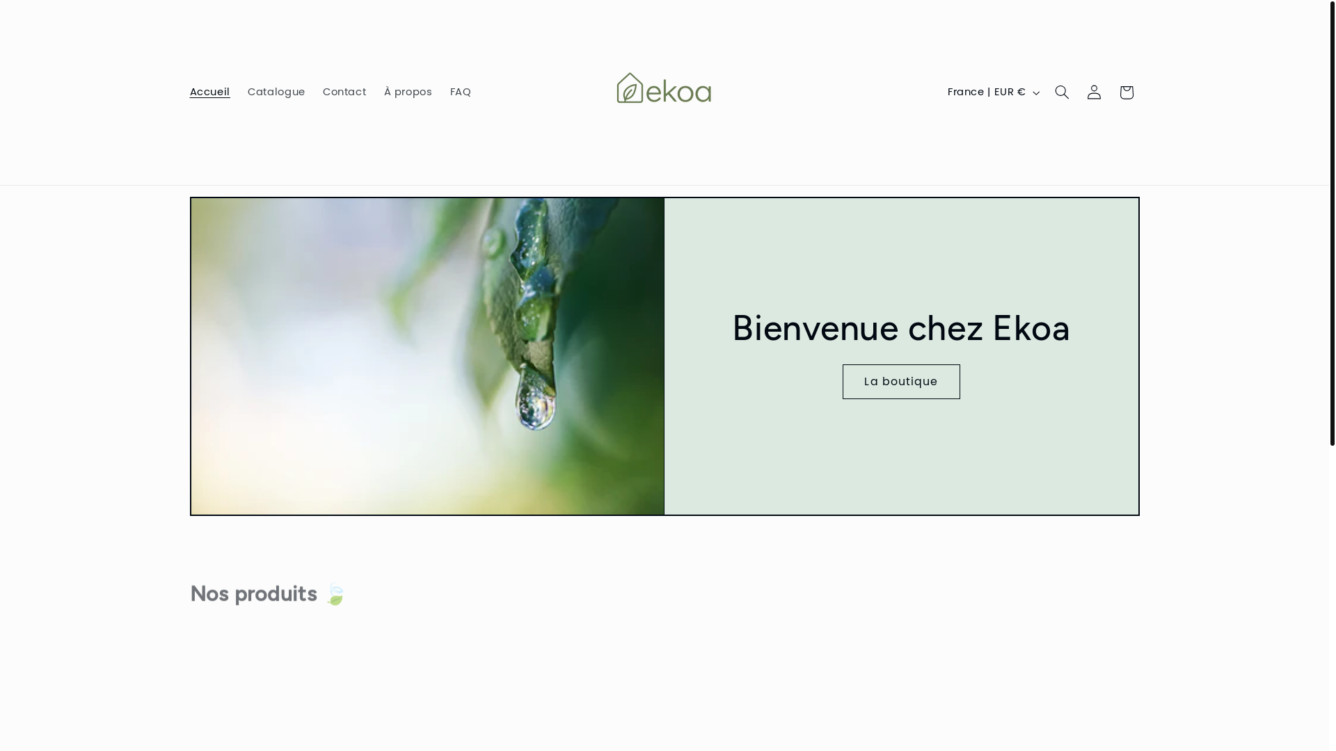 website screenshot of https://ekoashop.fr/