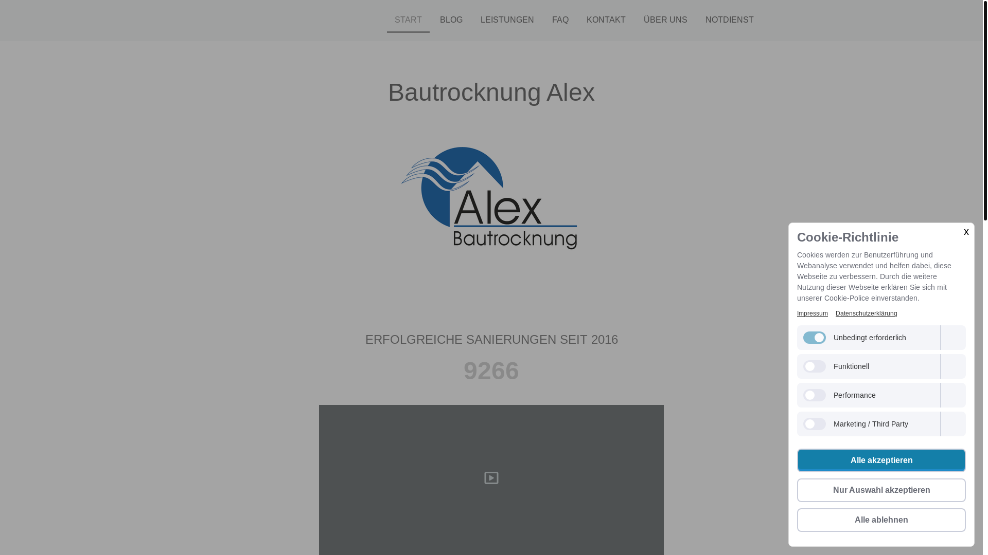 website screenshot of https://alex-sanierung.de/
