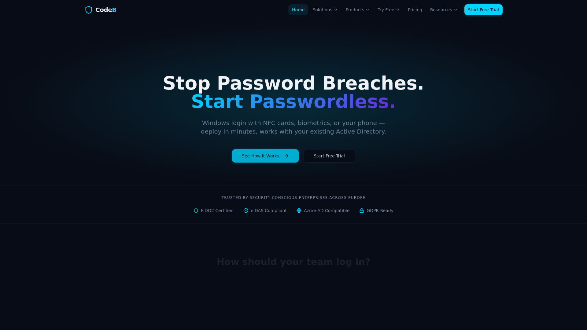 website screenshot of https://codebsite.pages.dev/
