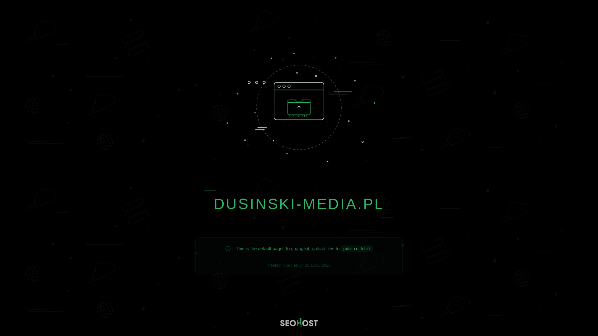 website screenshot of https://dusinski-media.pl/