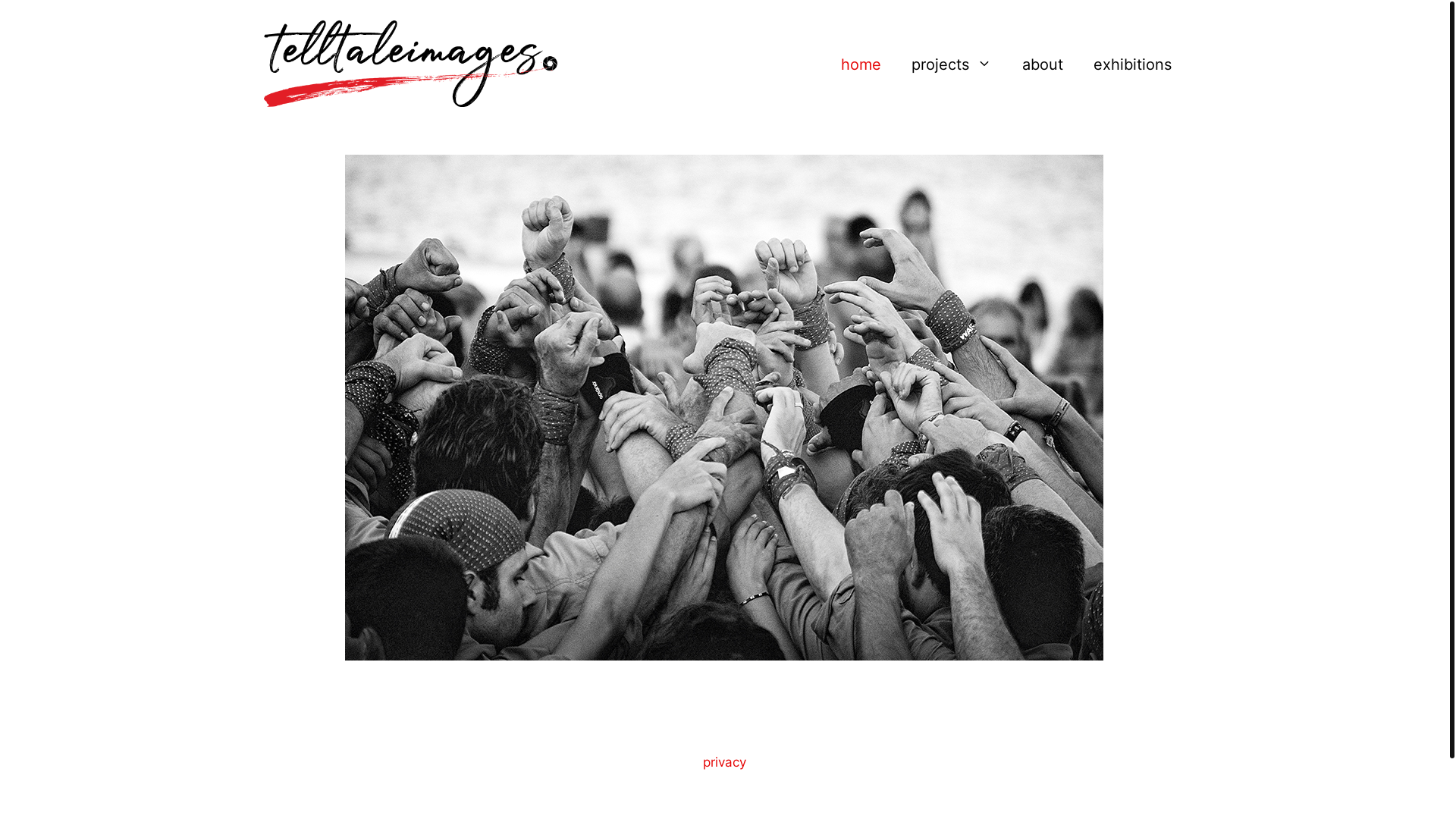 website screenshot of https://telltaleimages.pages.dev/