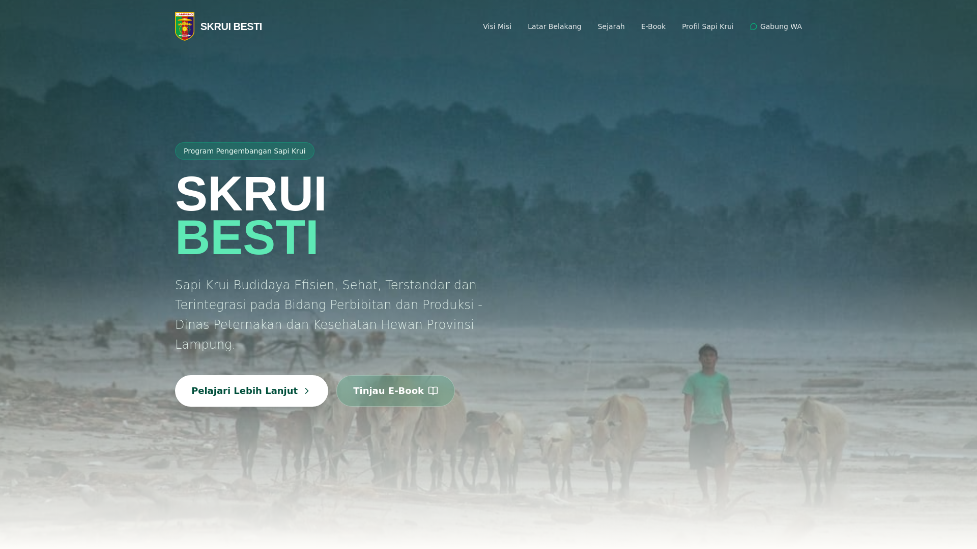 website screenshot of https://skrui-besti.site