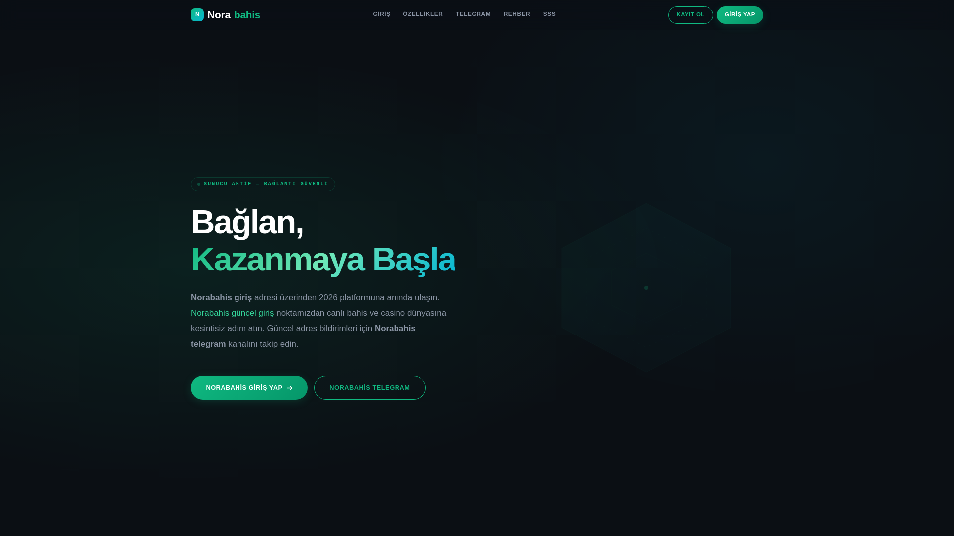 website screenshot of https://norabahisgiris2026.vip/