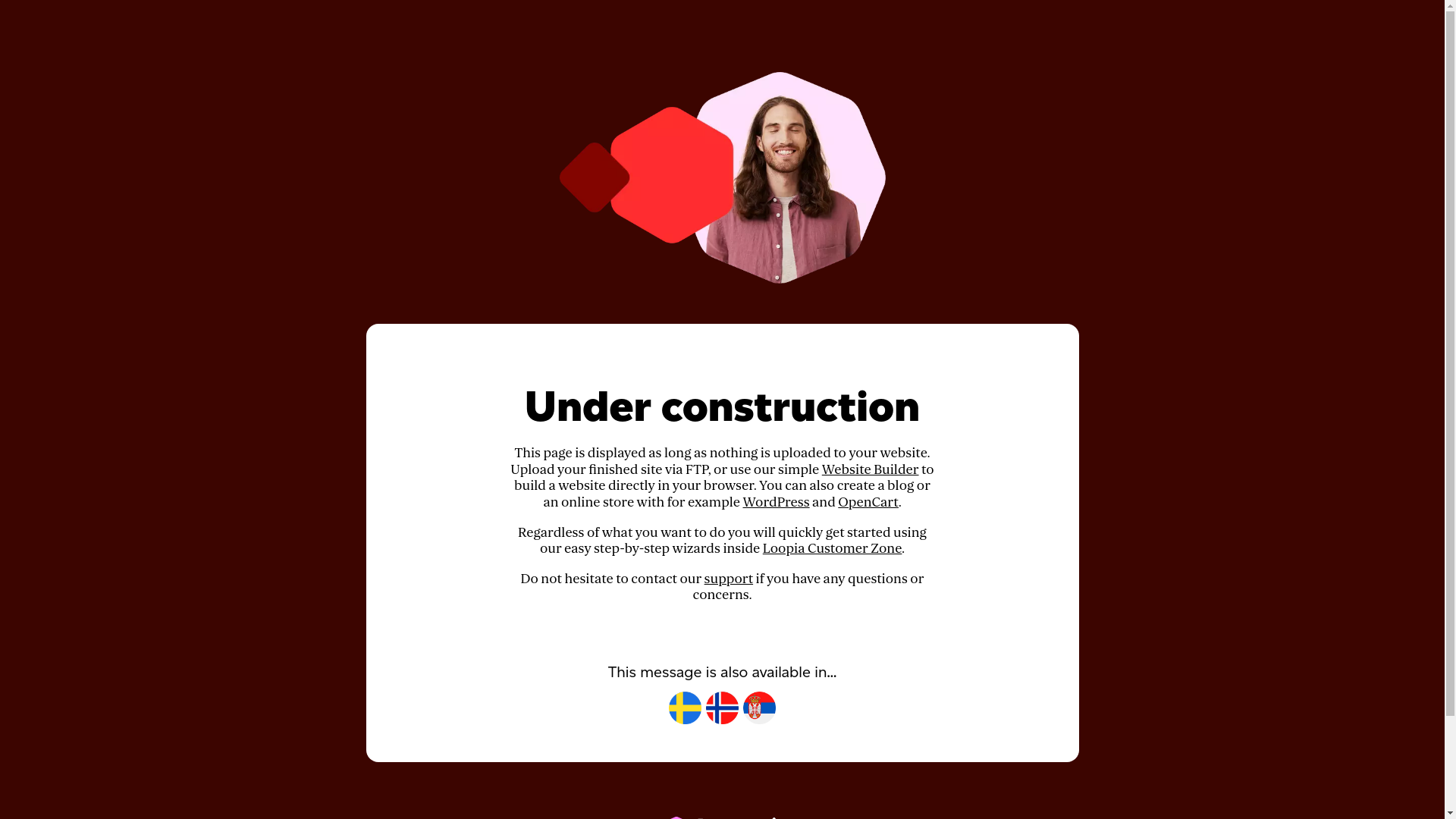 website screenshot of https://panna1.se/