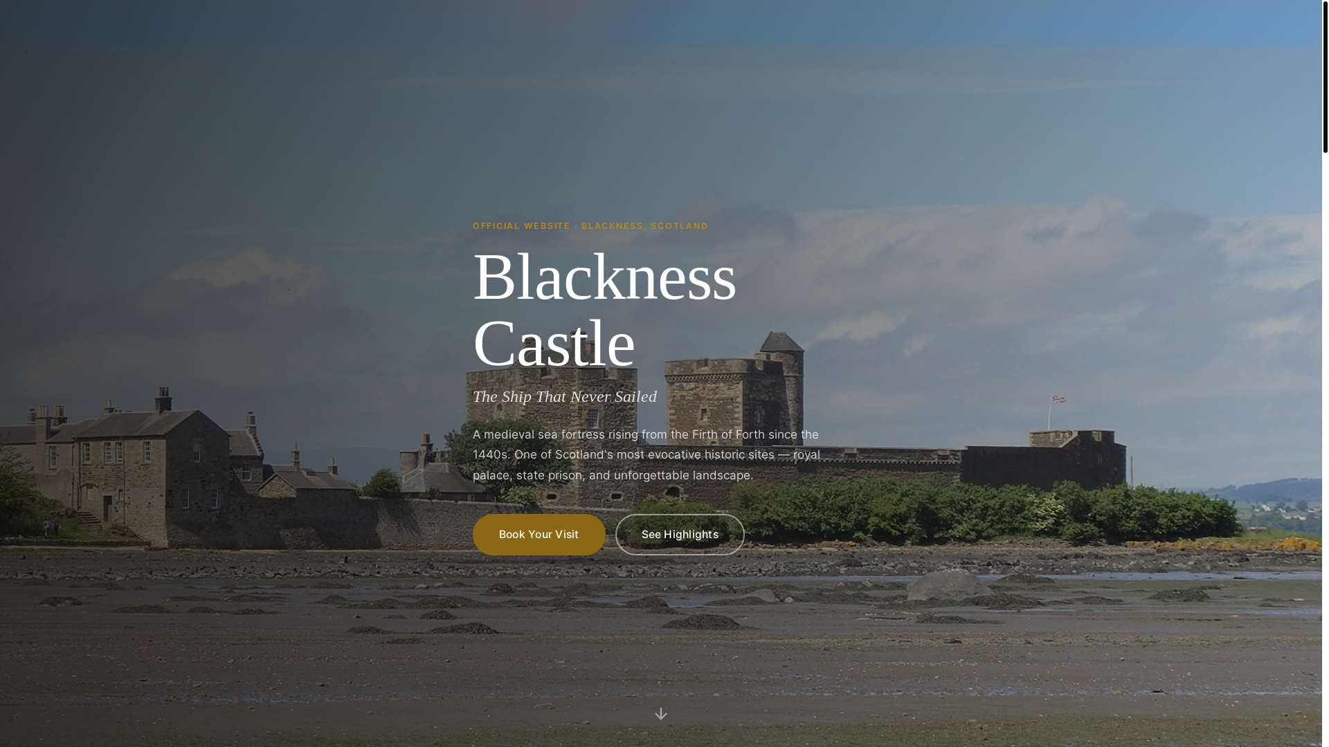 website screenshot of https://blacknesscastleorg.pages.dev/
