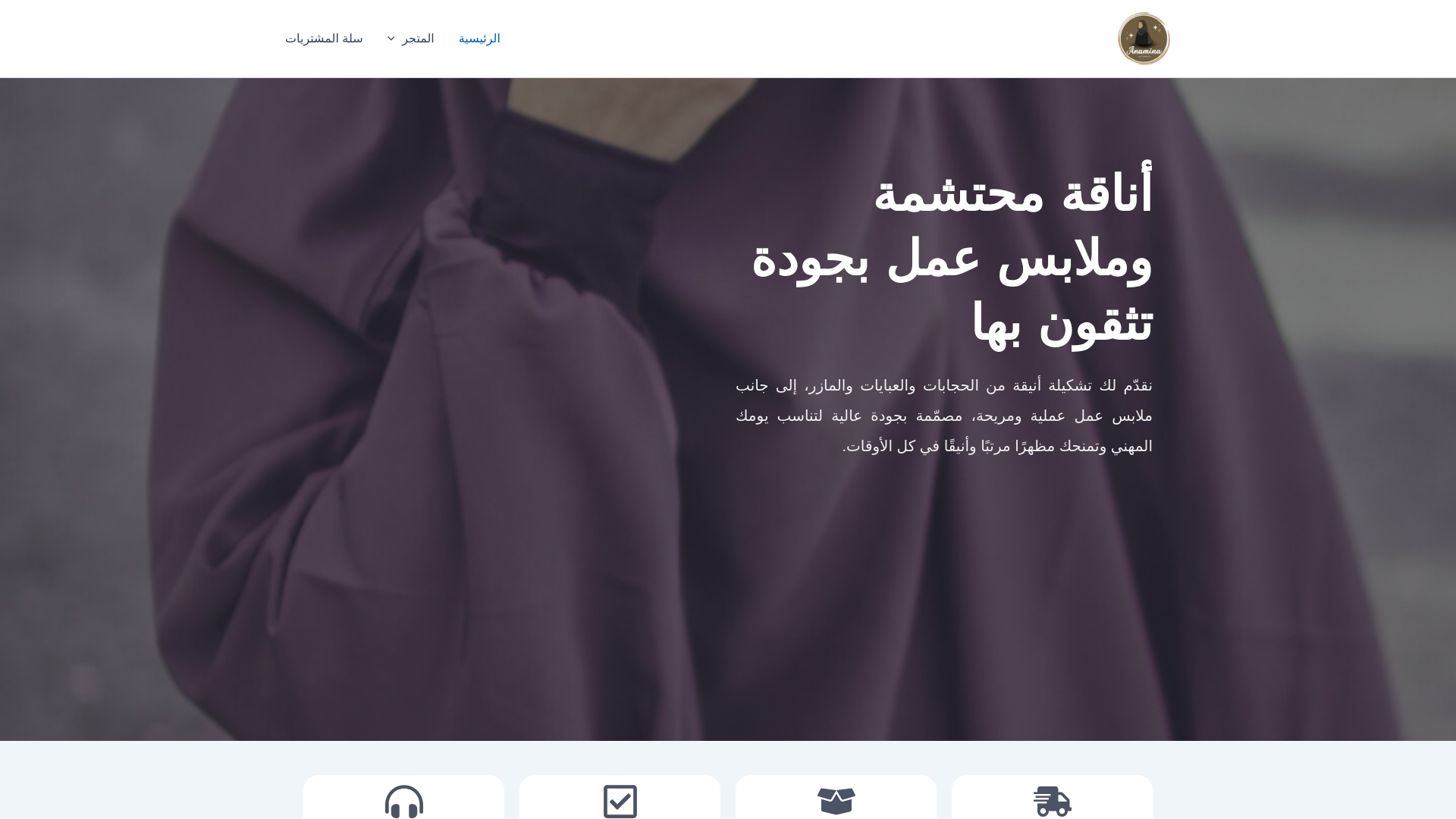 website screenshot of https://anamina-vetements.com/