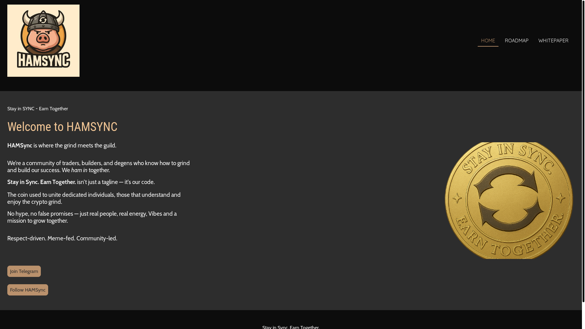 website screenshot of https://hamsync.me/