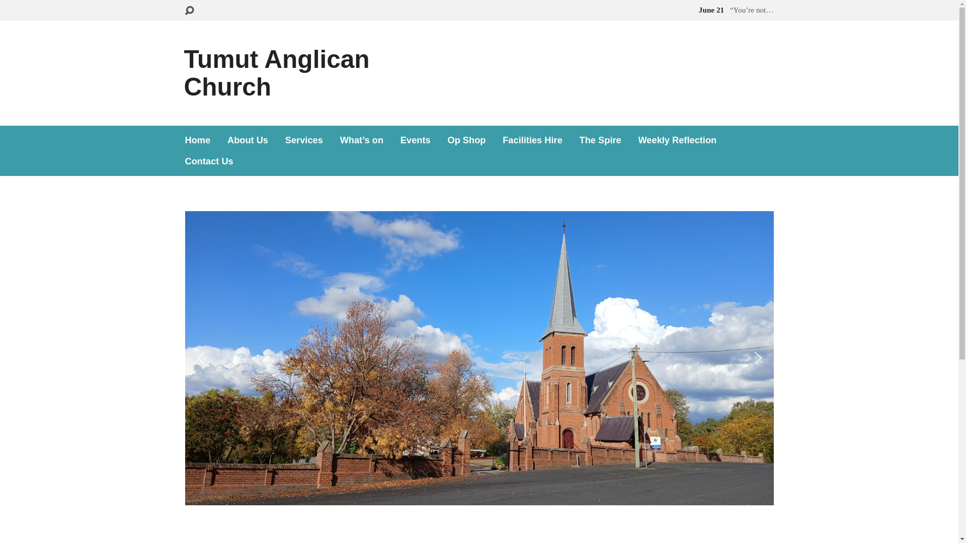 website screenshot of https://tumutanglican.com/