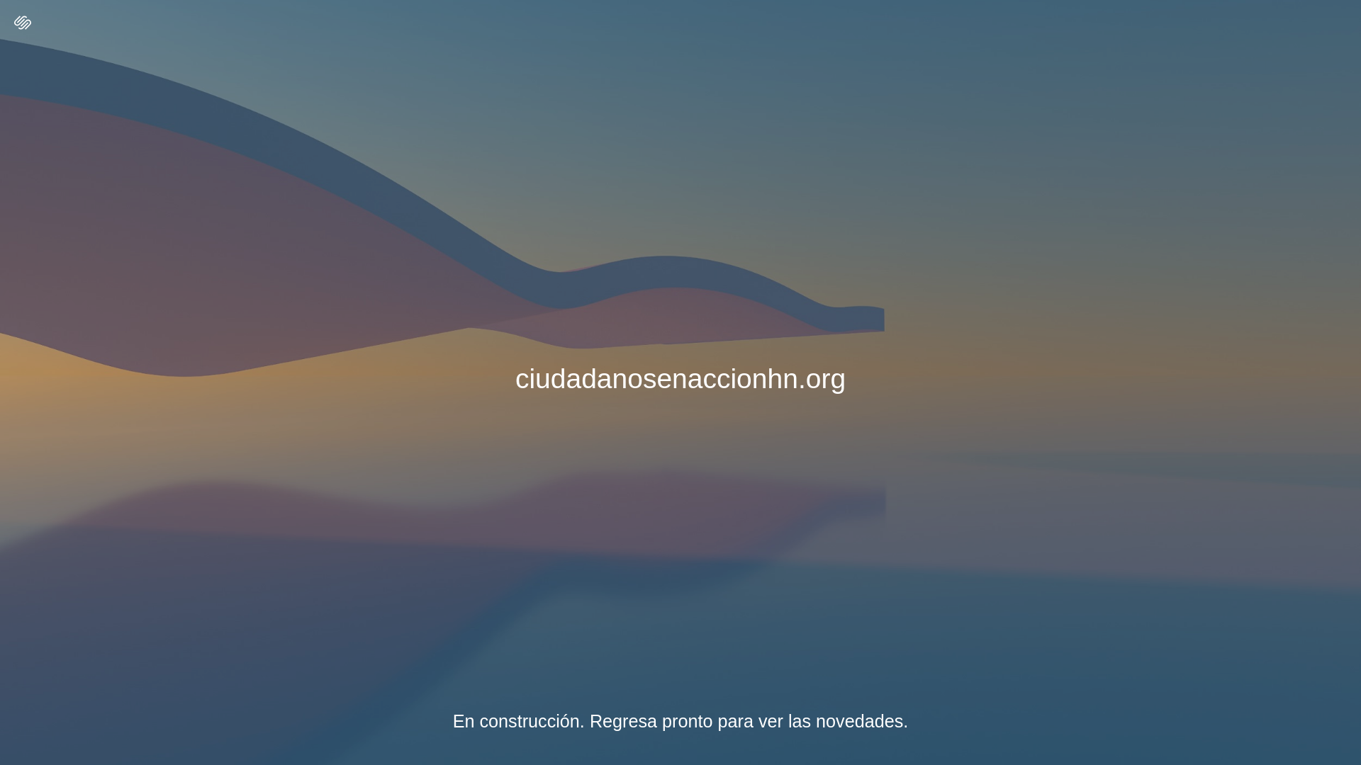 website screenshot of https://ciudadanosenaccionhn.org/