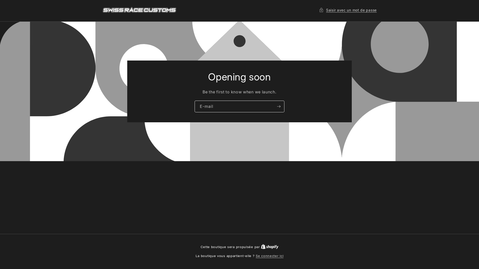 website screenshot of https://swissracecustoms.com/