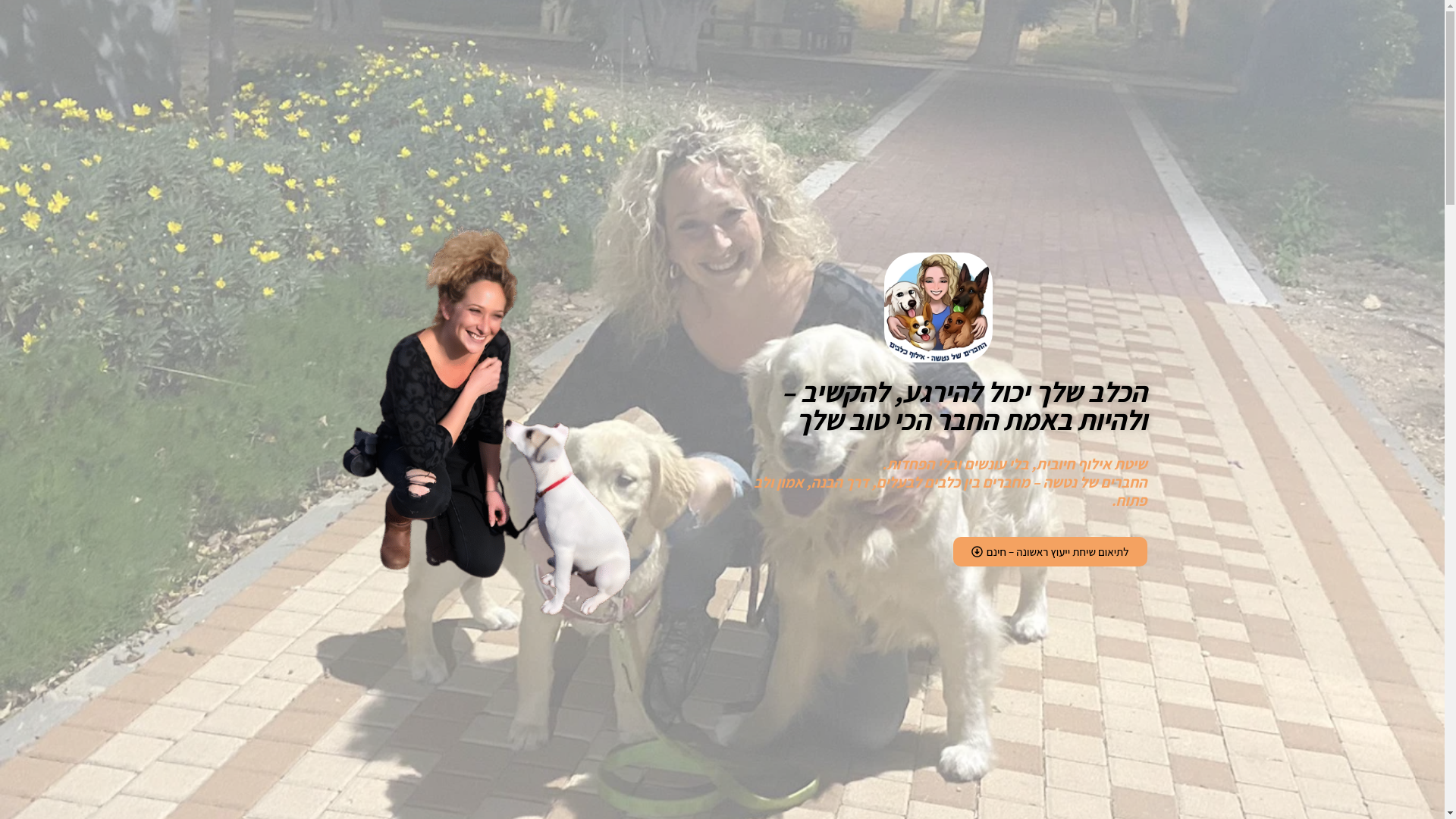 website screenshot of https://dogtrainingwithnatasha.com/