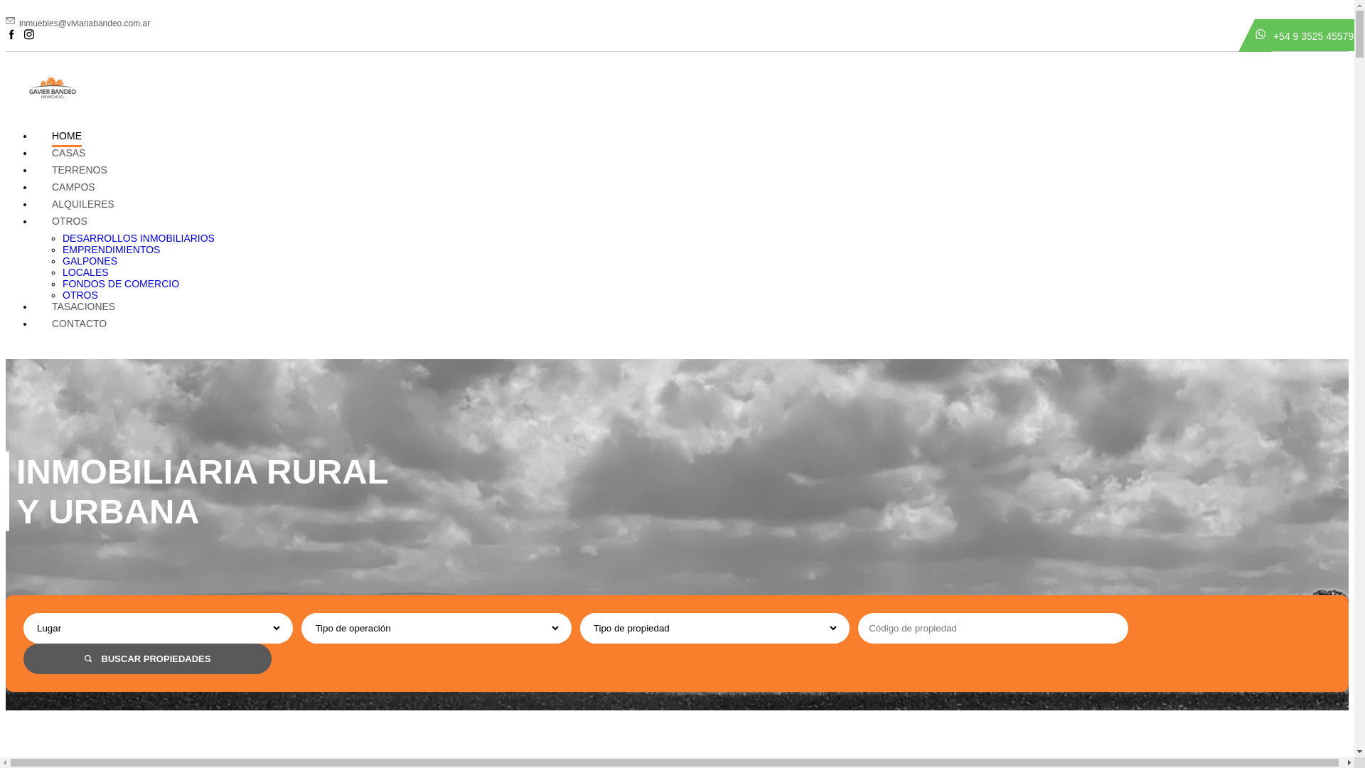 website screenshot of https://gavierbandeo.com.ar/