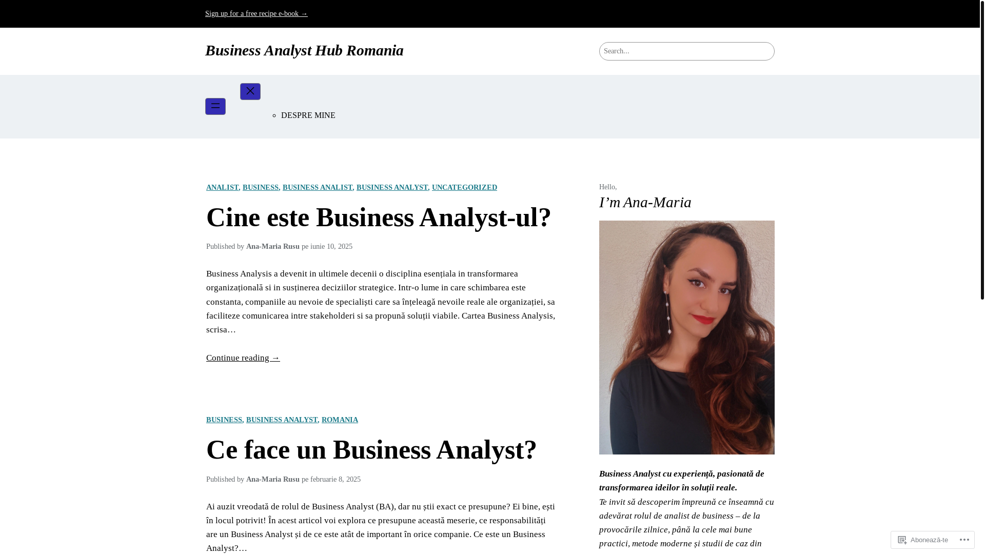 website screenshot of https://businessanalysthub.ro/
