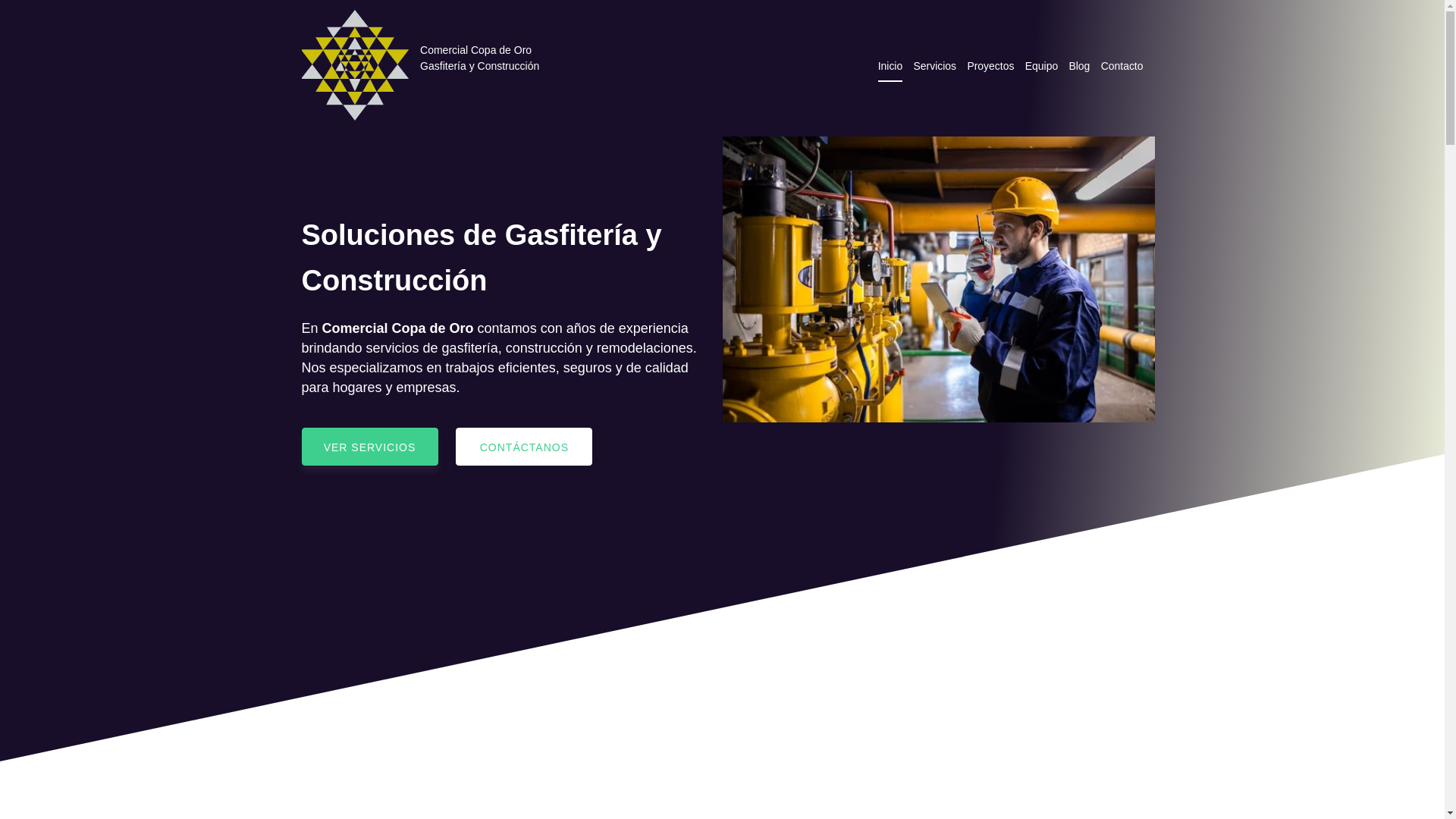 website screenshot of https://comercialcopadeoro.cl/
