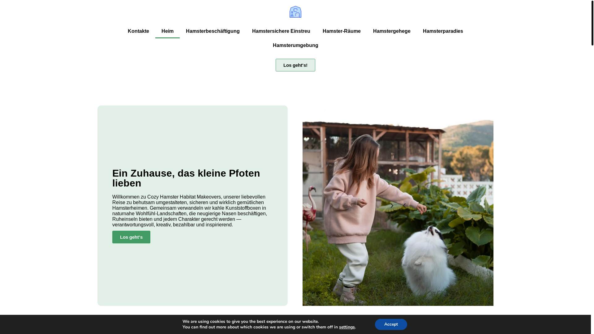 website screenshot of https://darimiraxari.digital/